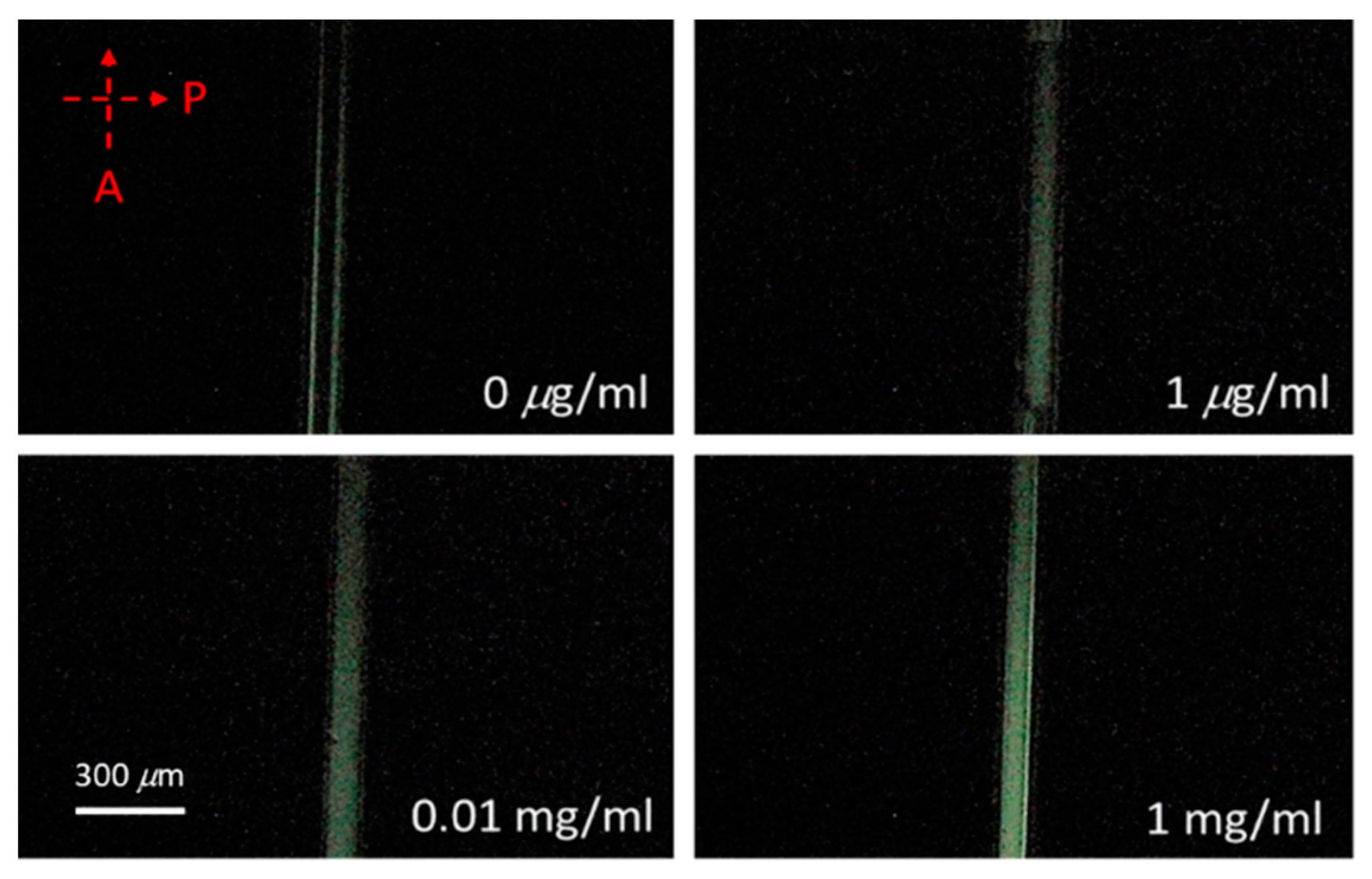 Polymers 12 00395 g003