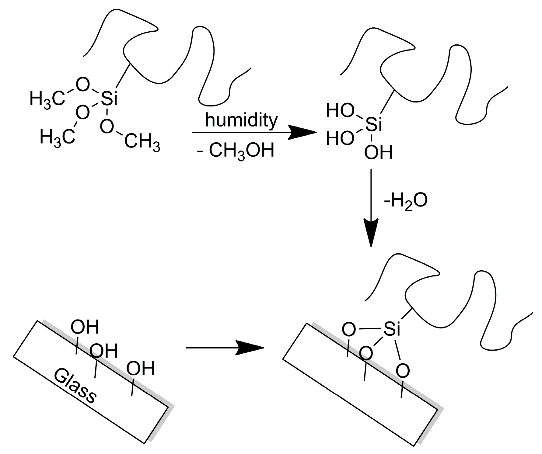 Polymers 12 00398 g005