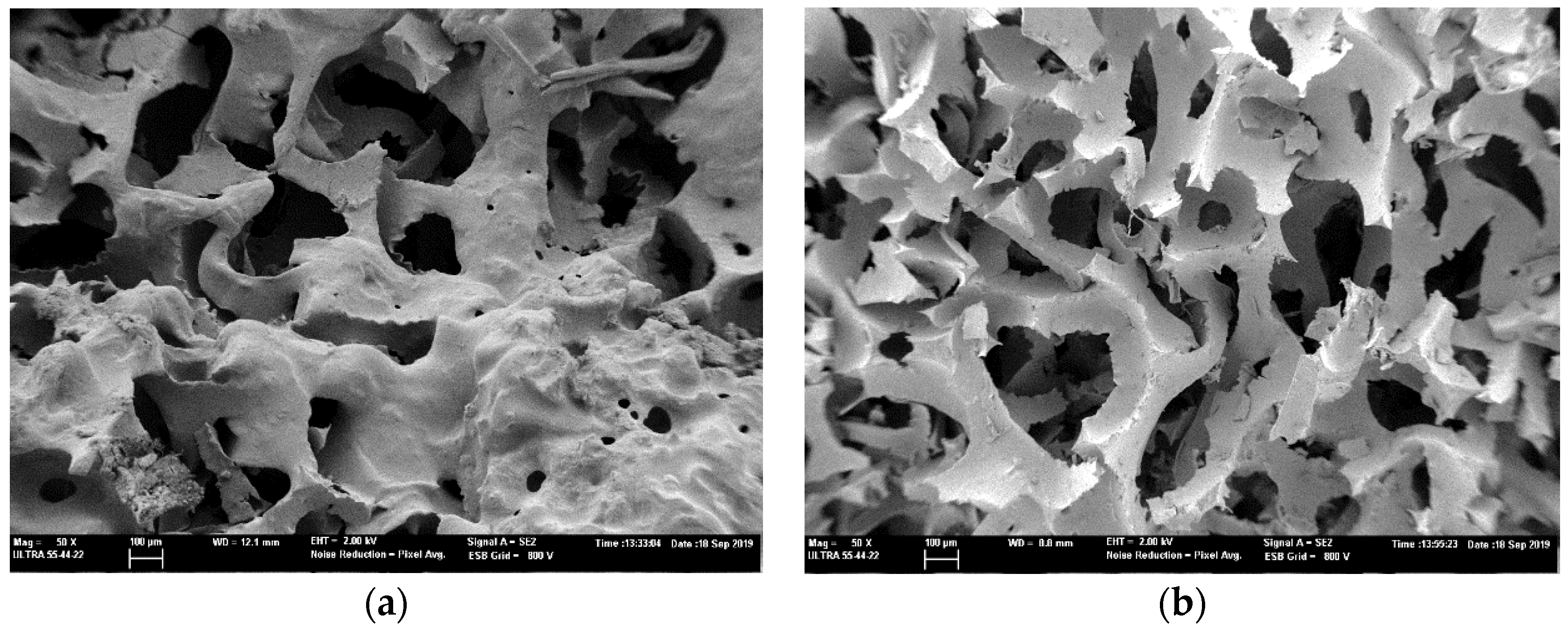 Polymers 12 00401 g004