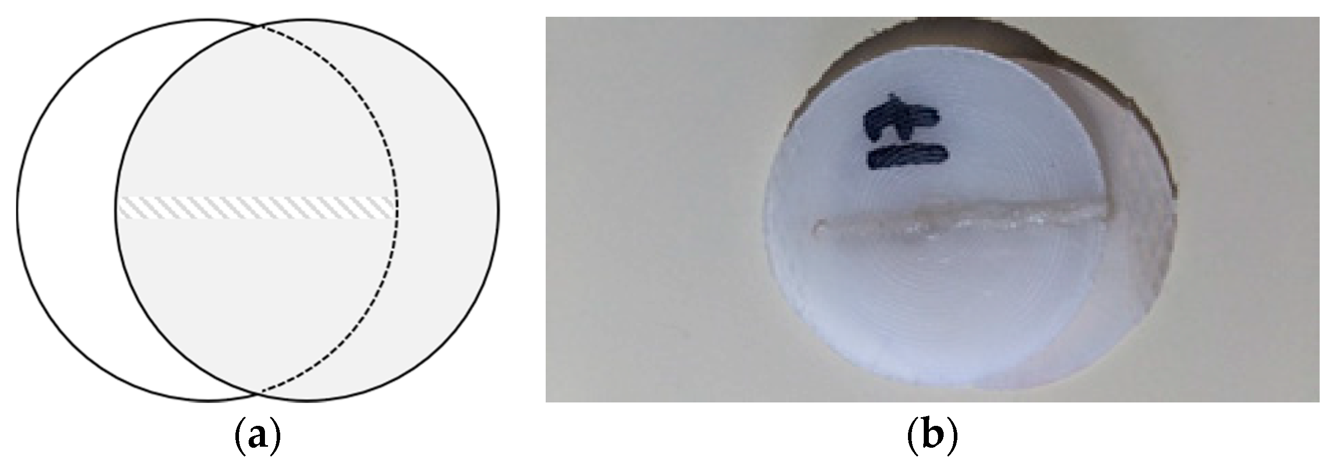 Polymers 12 00402 g001