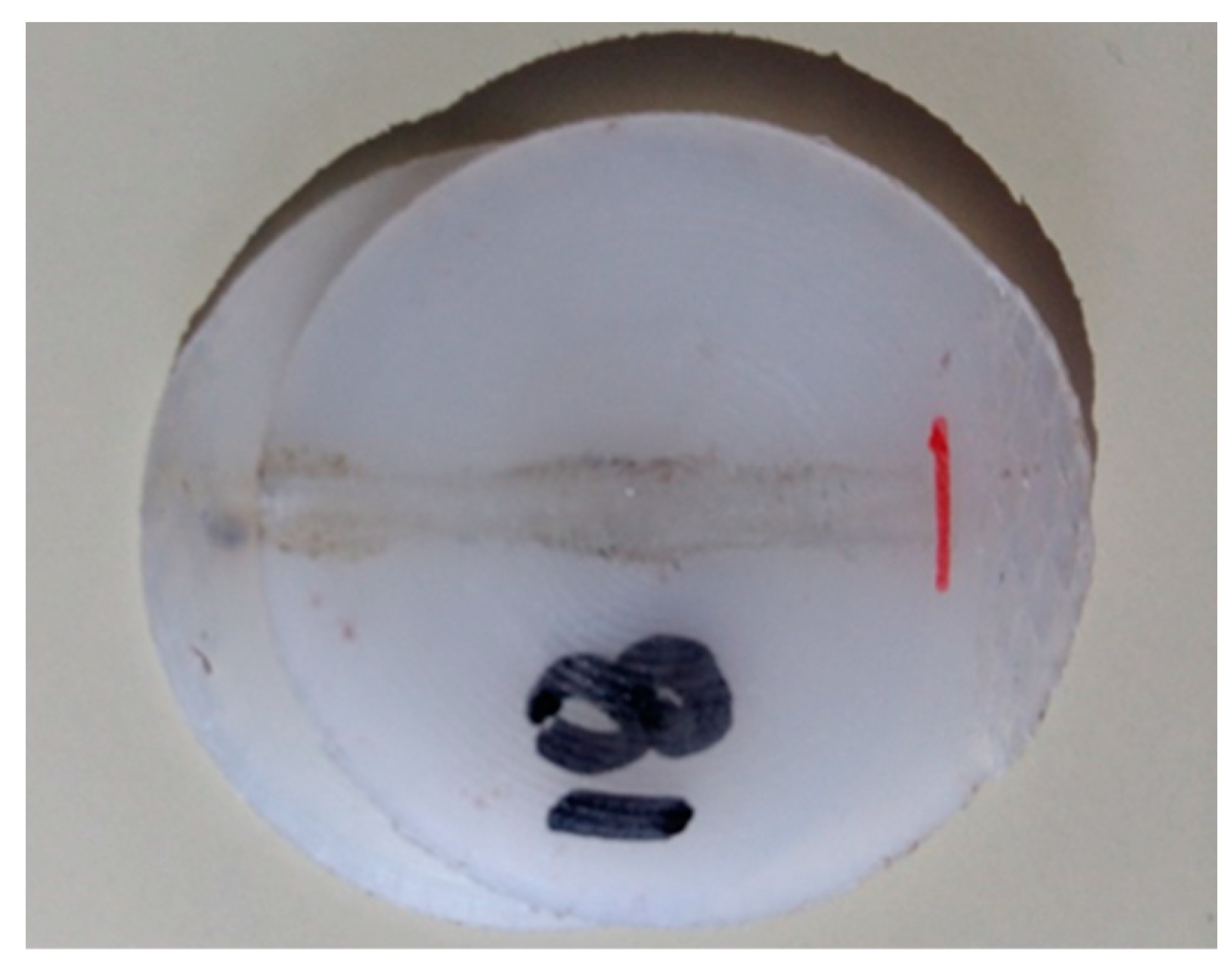 Polymers 12 00402 g008