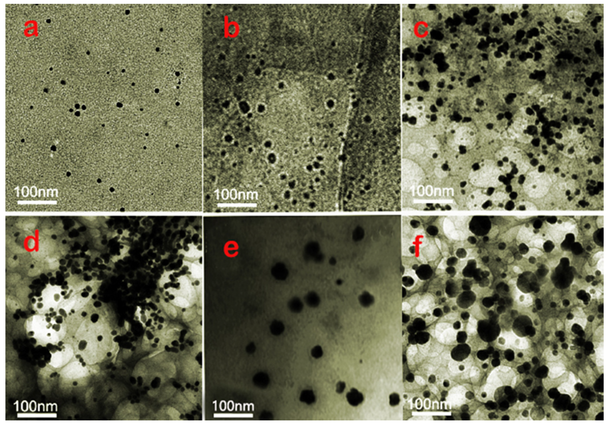 Polymers 12 00407 g006 Polymers 12 00407 g006