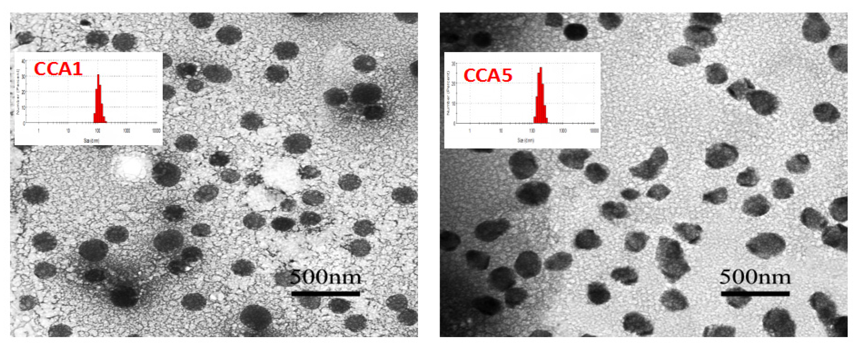 Polymers 12 00408 g003 Polymers 12 00408 g003