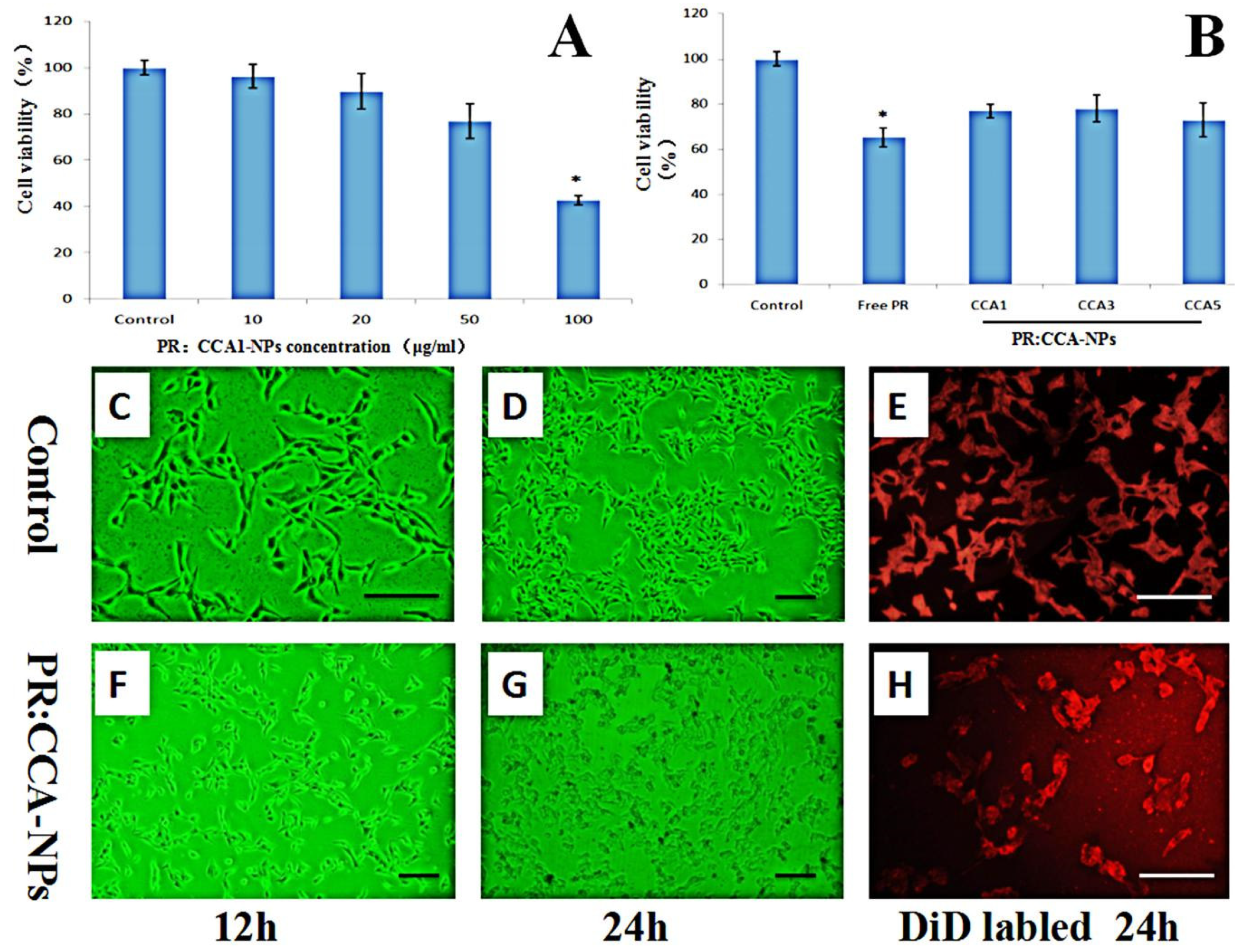 Polymers 12 00408 g005 Polymers 12 00408 g005