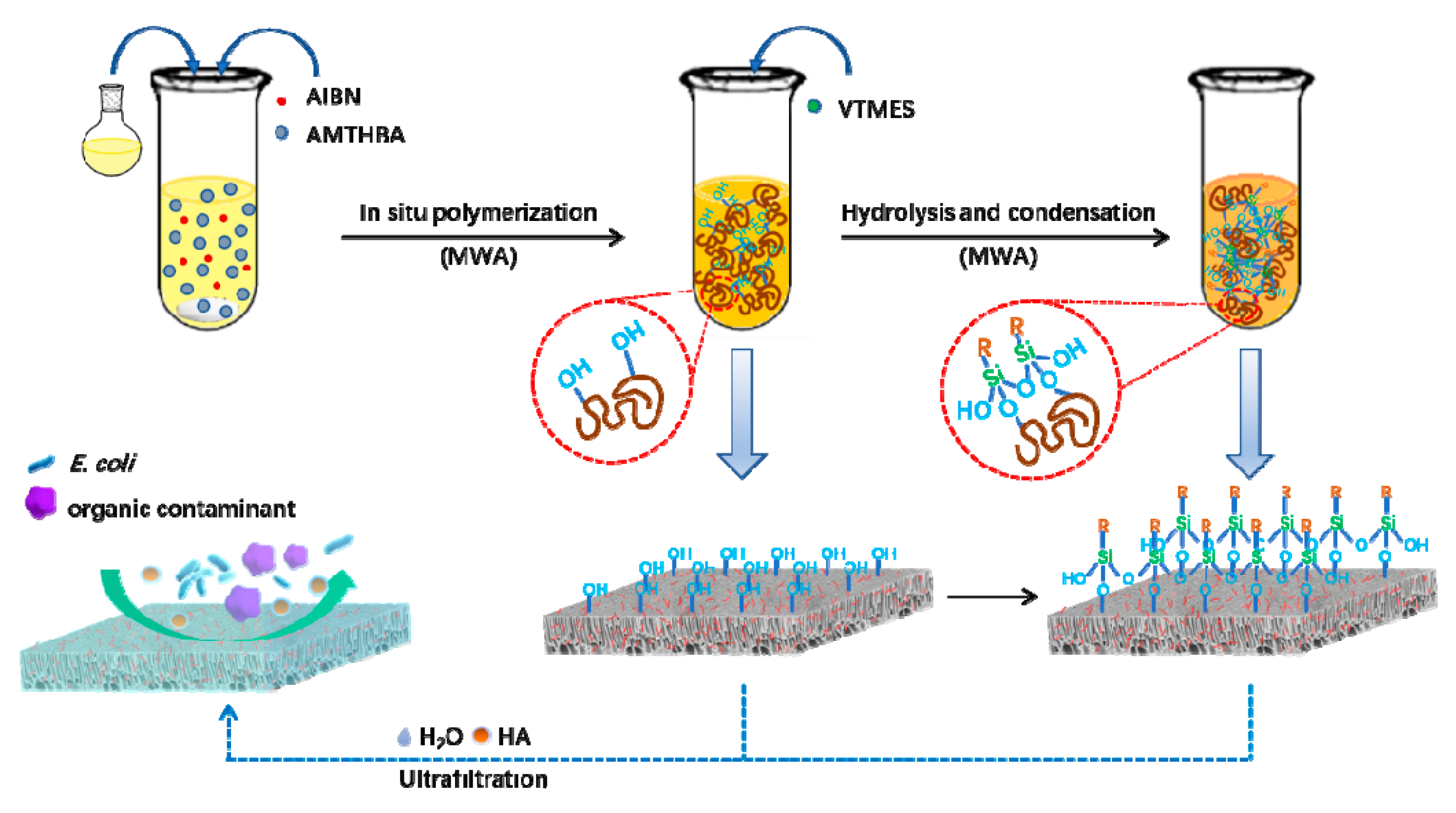 Polymers 12 00412 g002 Polymers 12 00412 g002