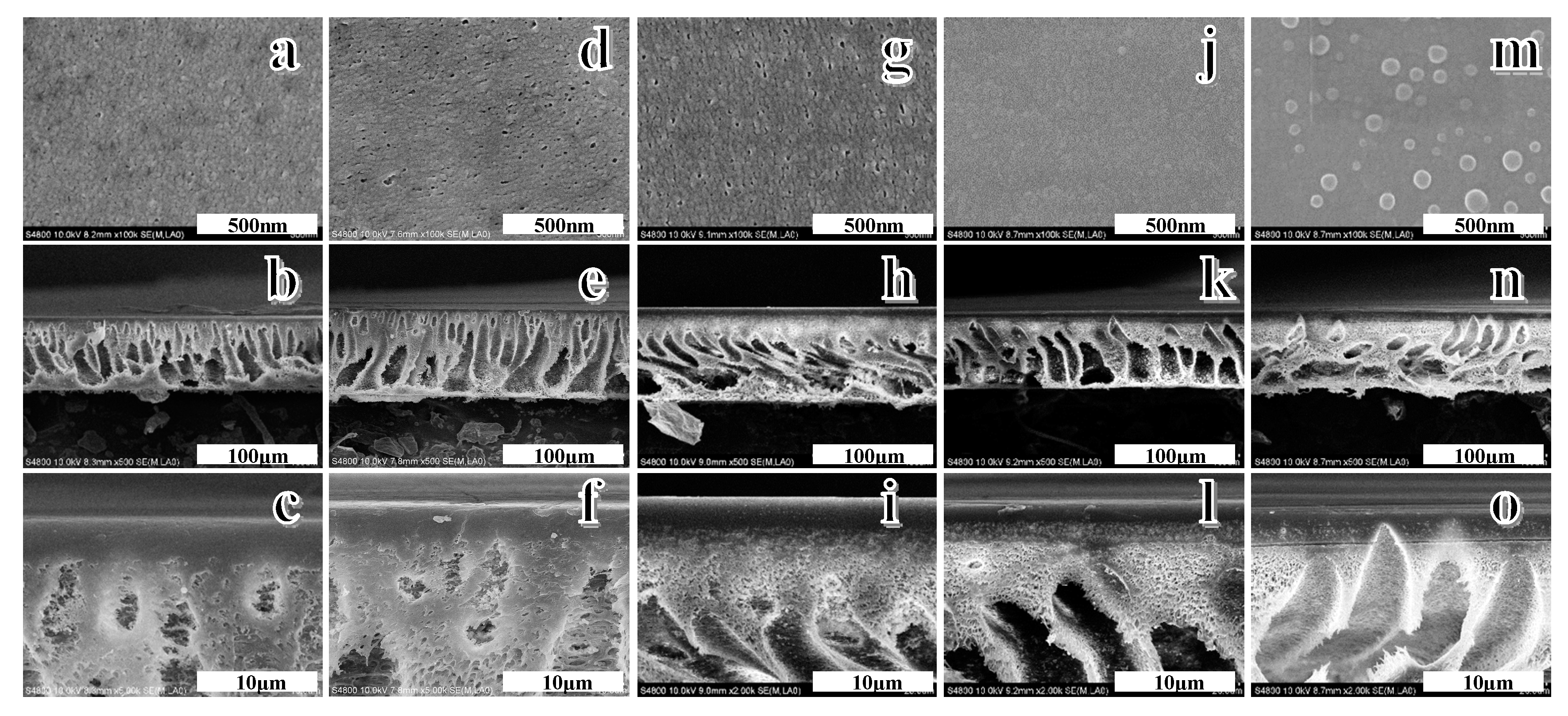 Polymers 12 00412 g006 Polymers 12 00412 g006