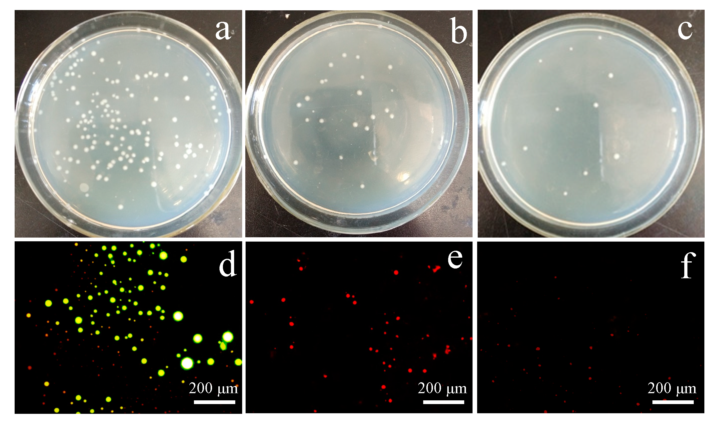 Polymers 12 00412 g011 Polymers 12 00412 g011