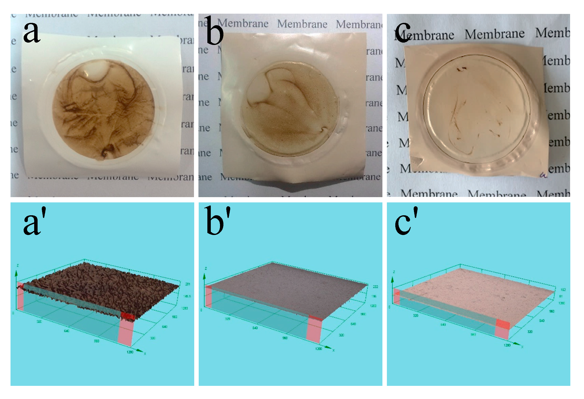 Polymers 12 00412 g013 Polymers 12 00412 g013