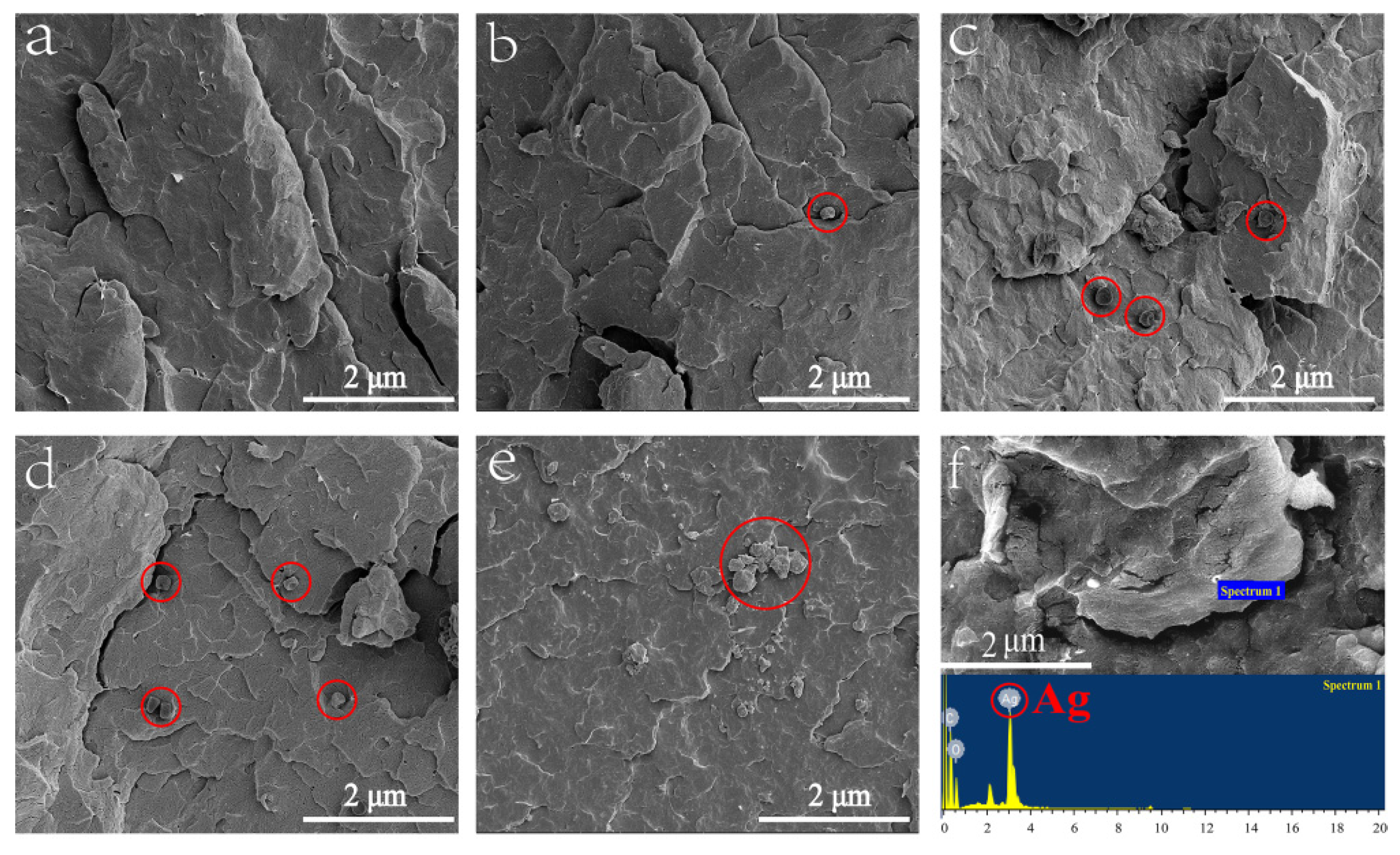 Polymers 12 00424 g004 Polymers 12 00424 g004