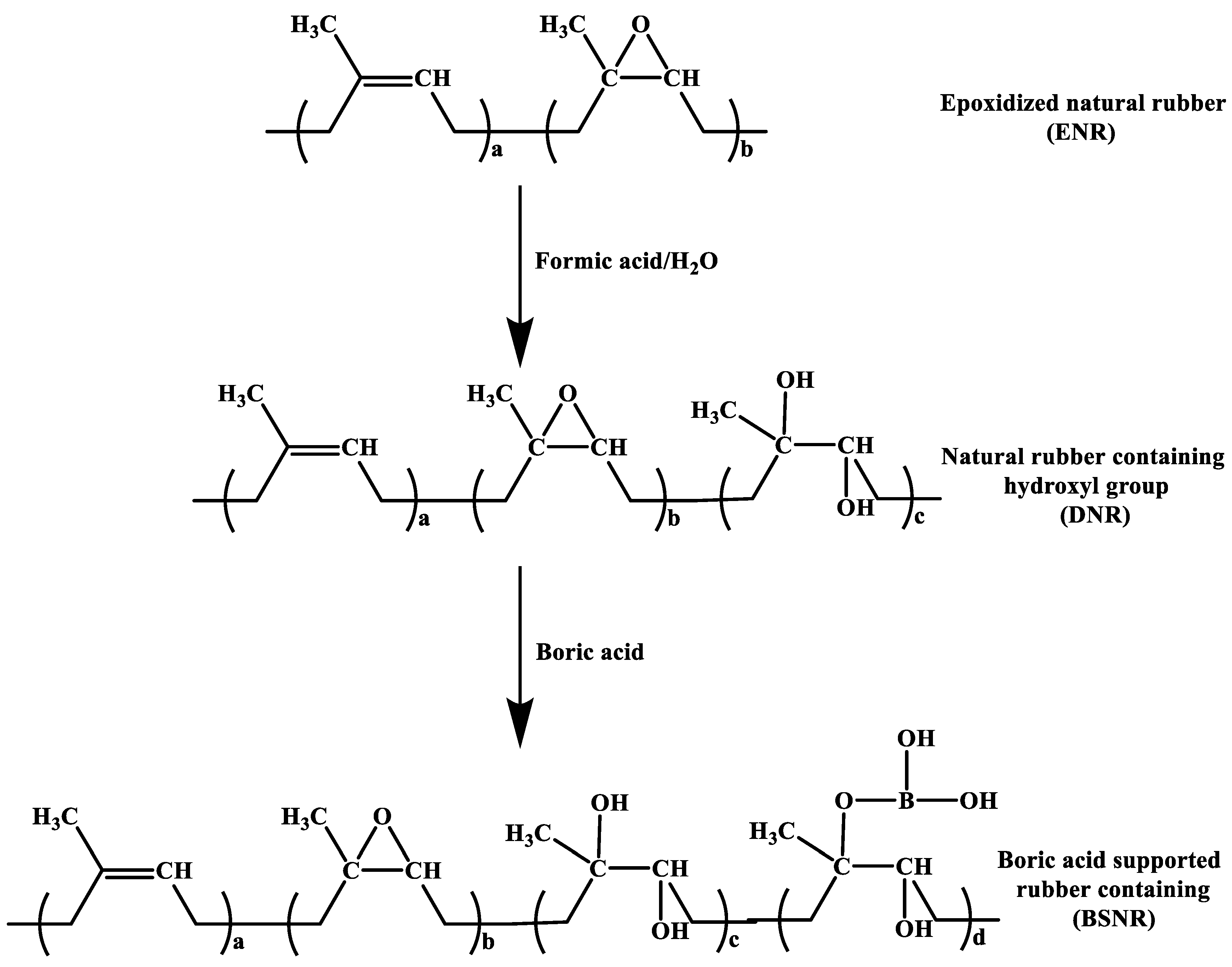 Polymers 12 00429 sch005 Polymers 12 00429 sch005