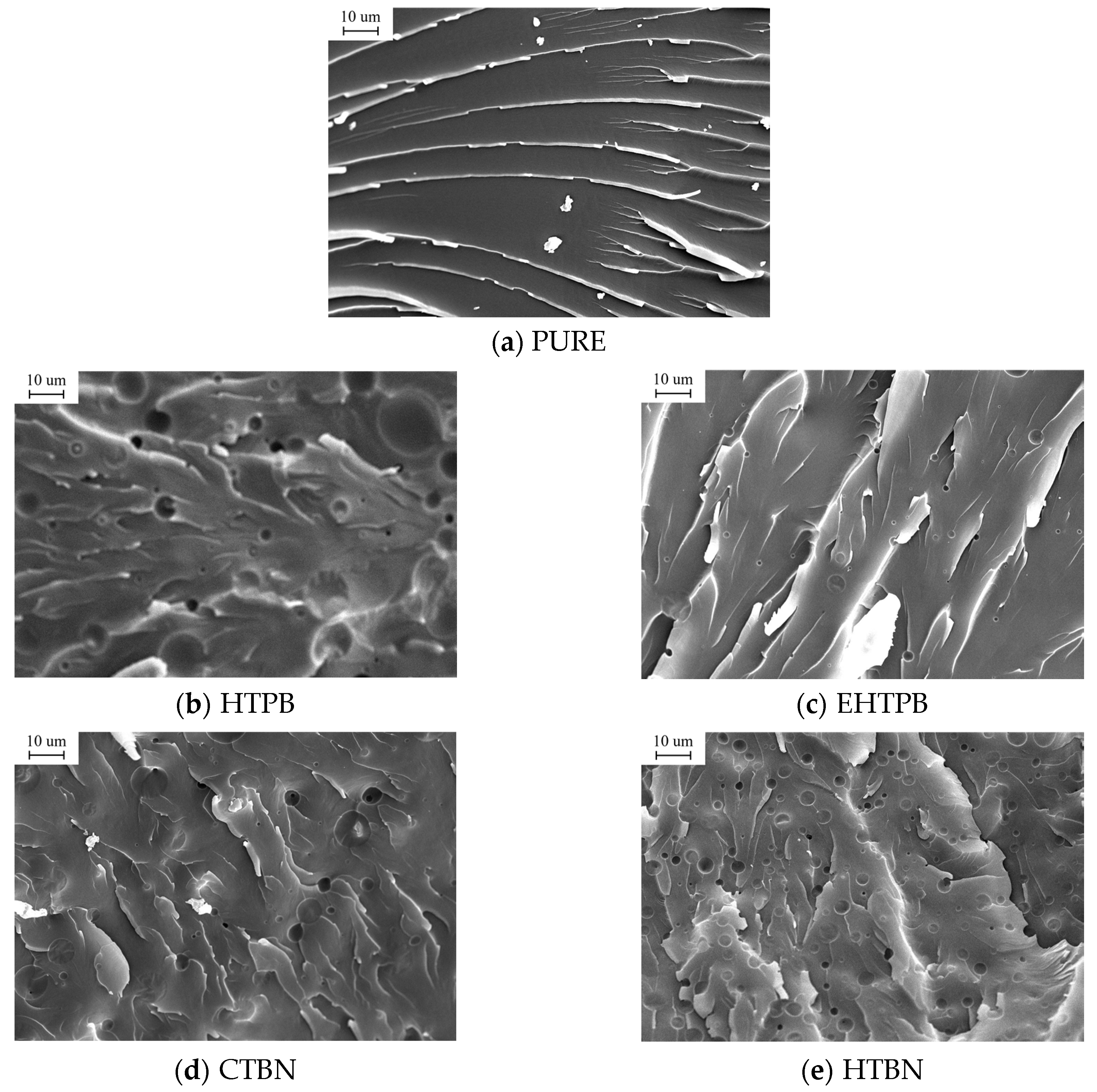 Polymers 12 00433 g003
