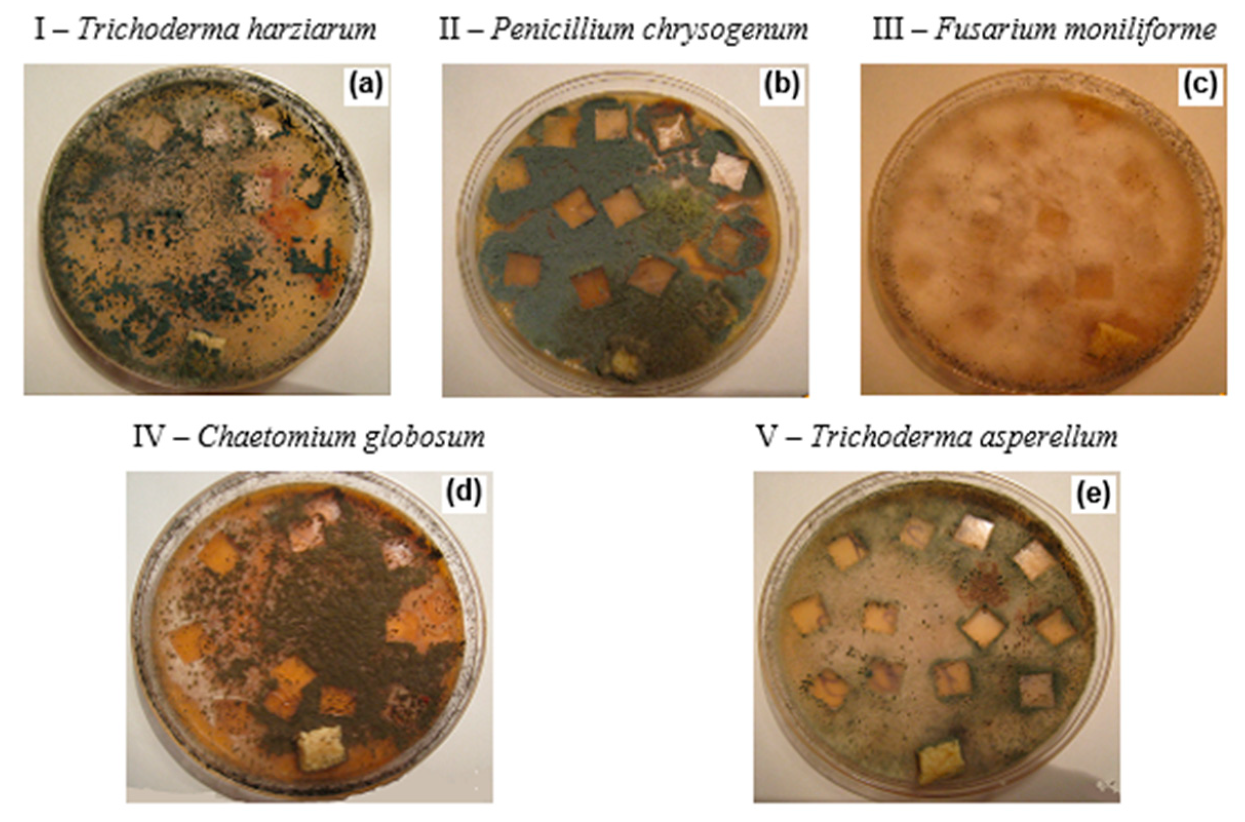 Polymers 12 00437 g005
