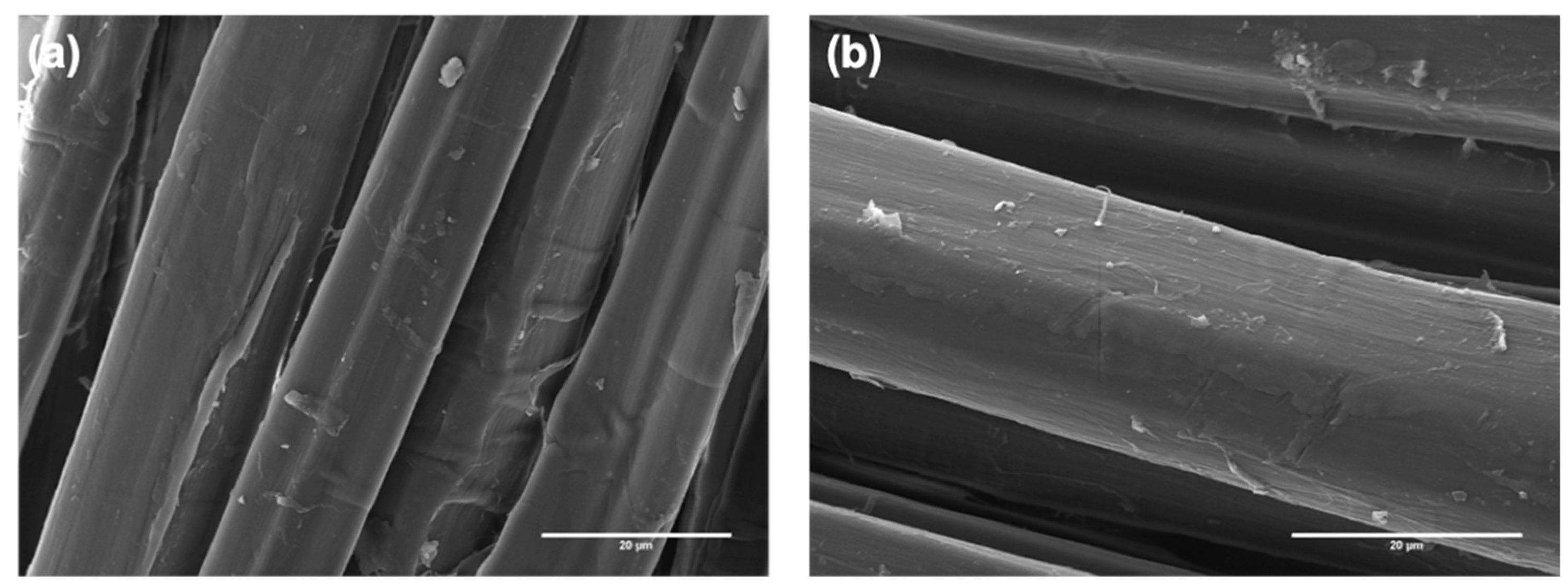 Polymers 12 00438 g001