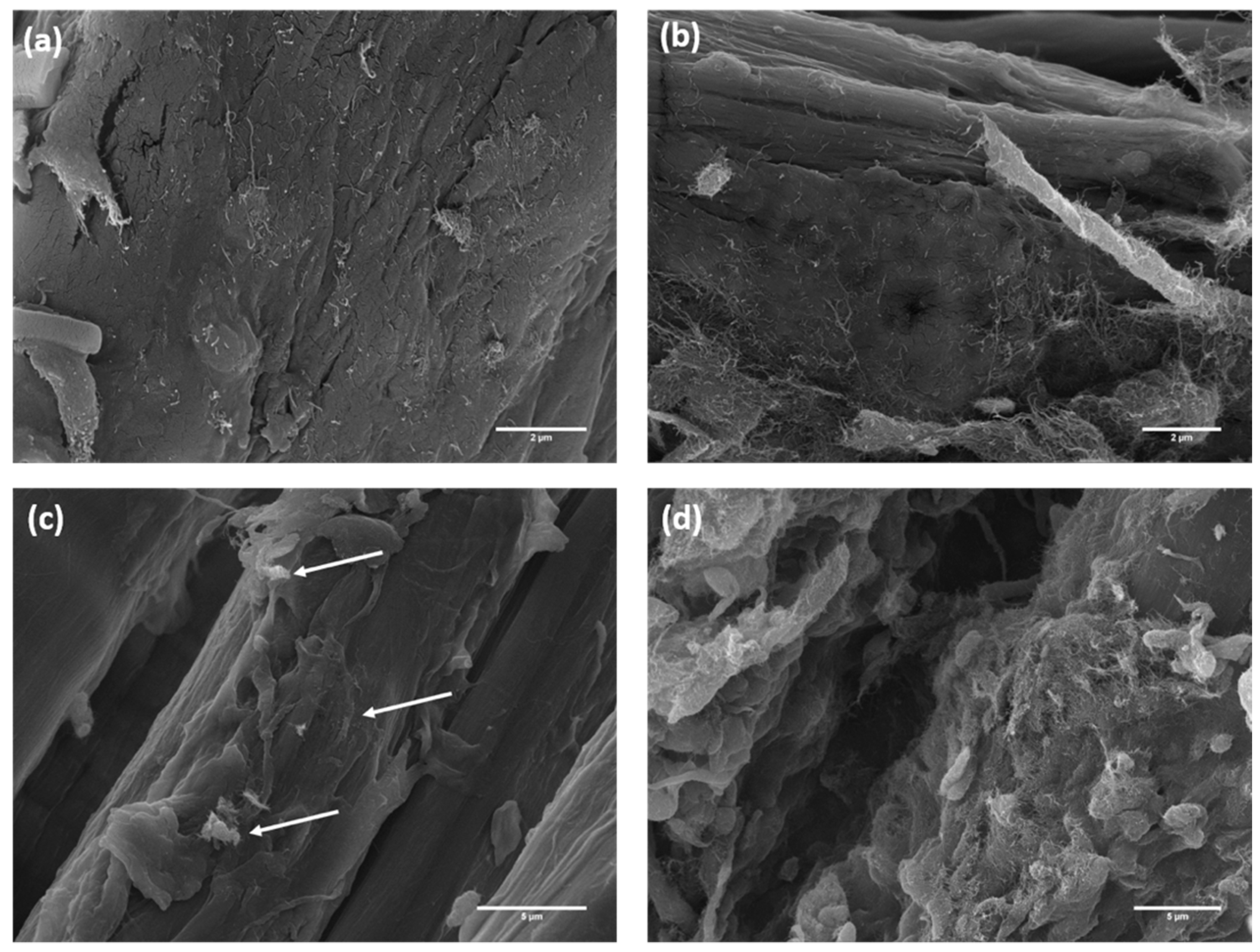 Polymers 12 00438 g002