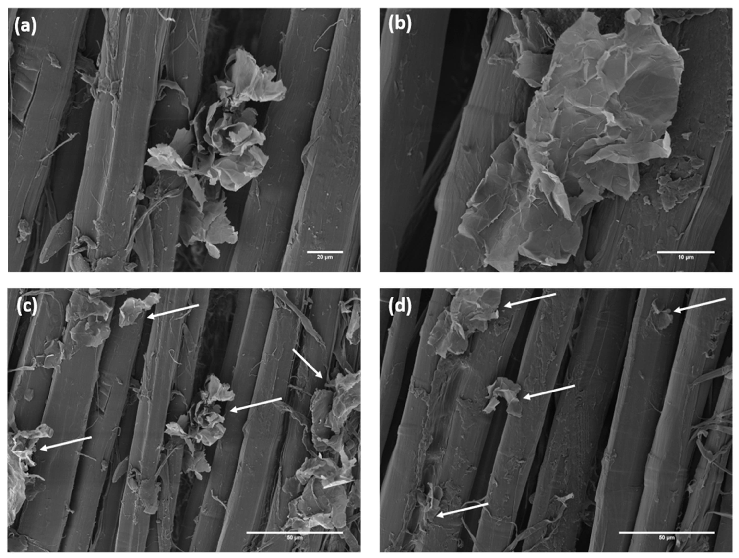 Polymers 12 00438 g003