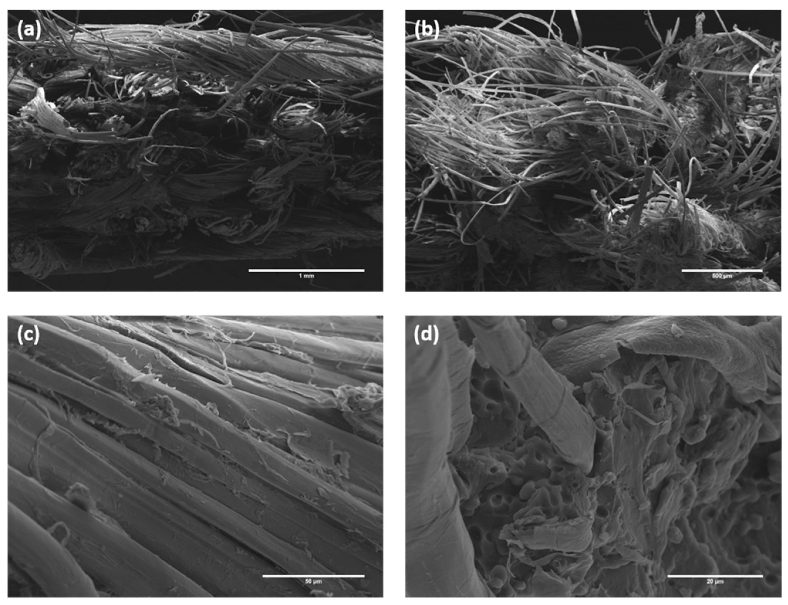 Polymers 12 00438 g005
