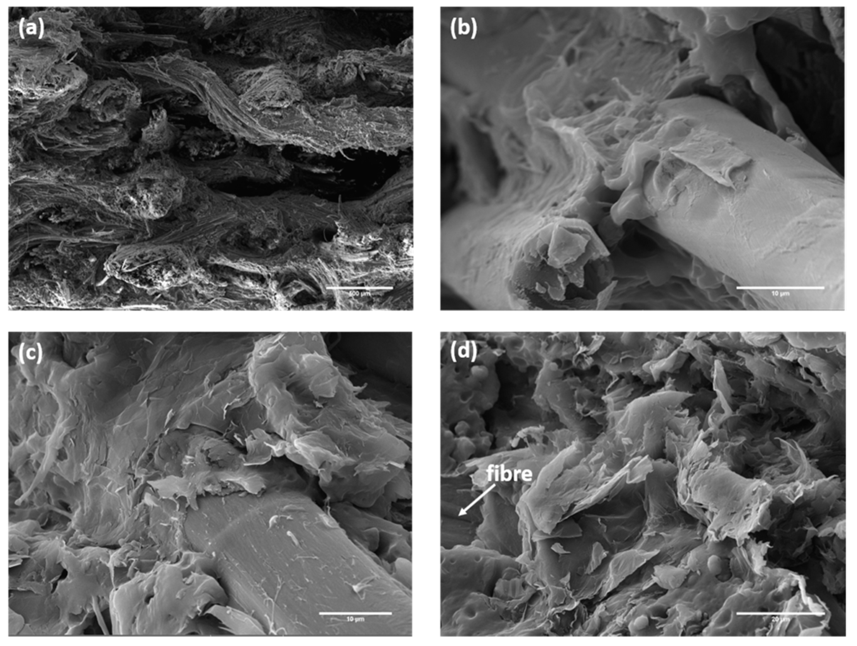 Polymers 12 00438 g009