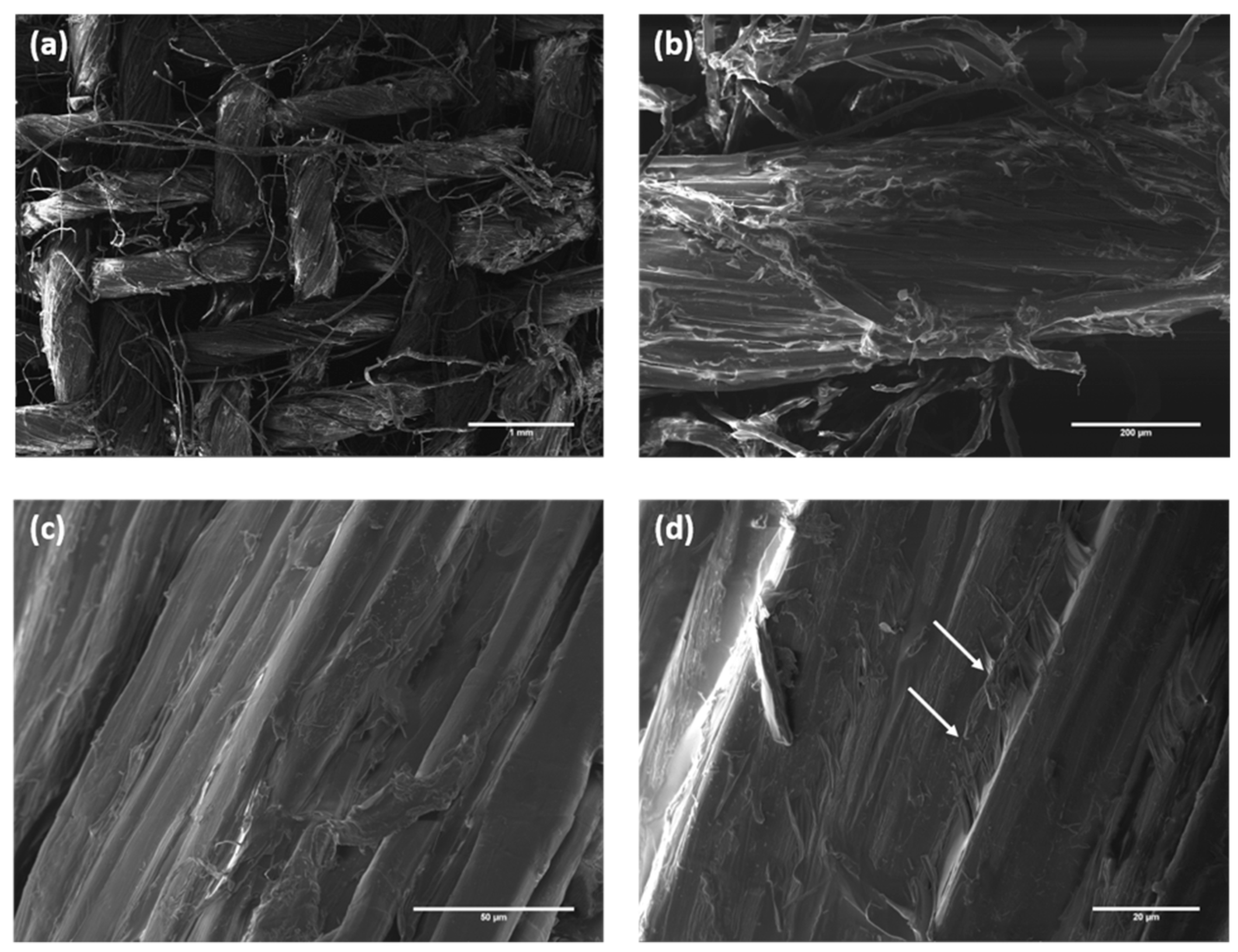 Polymers 12 00438 g013