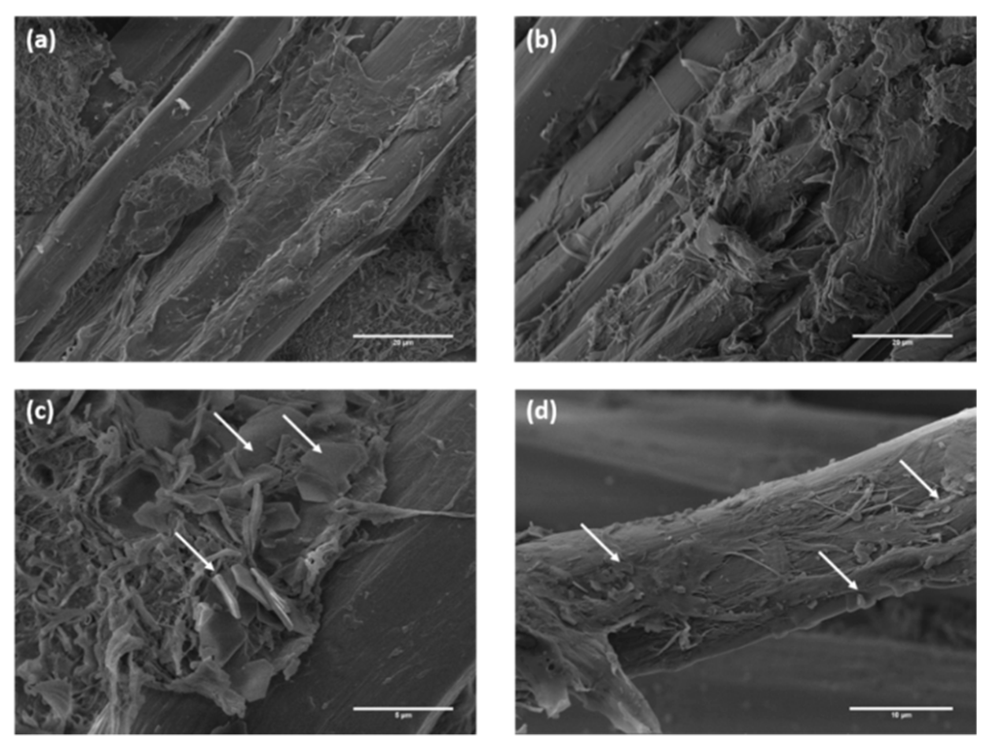Polymers 12 00438 g016