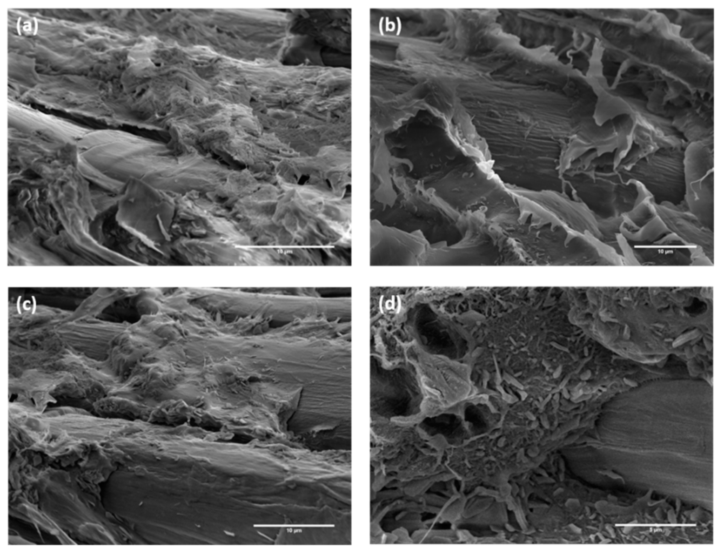 Polymers 12 00438 g017