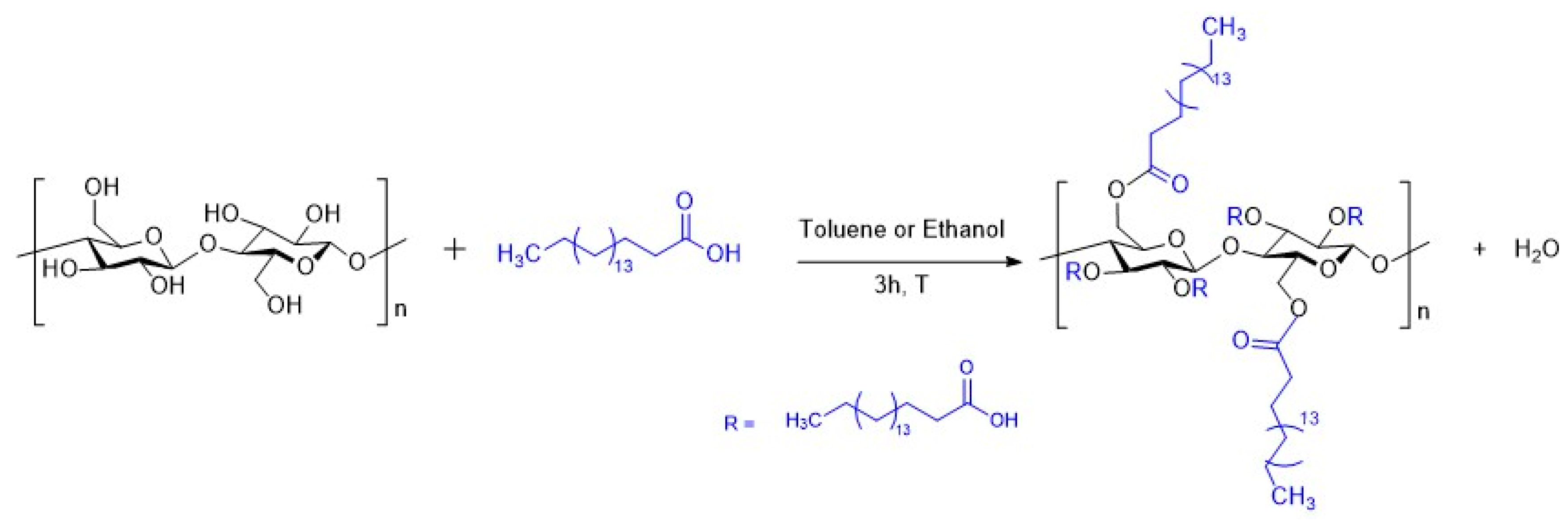 Polymers 12 00438 sch001