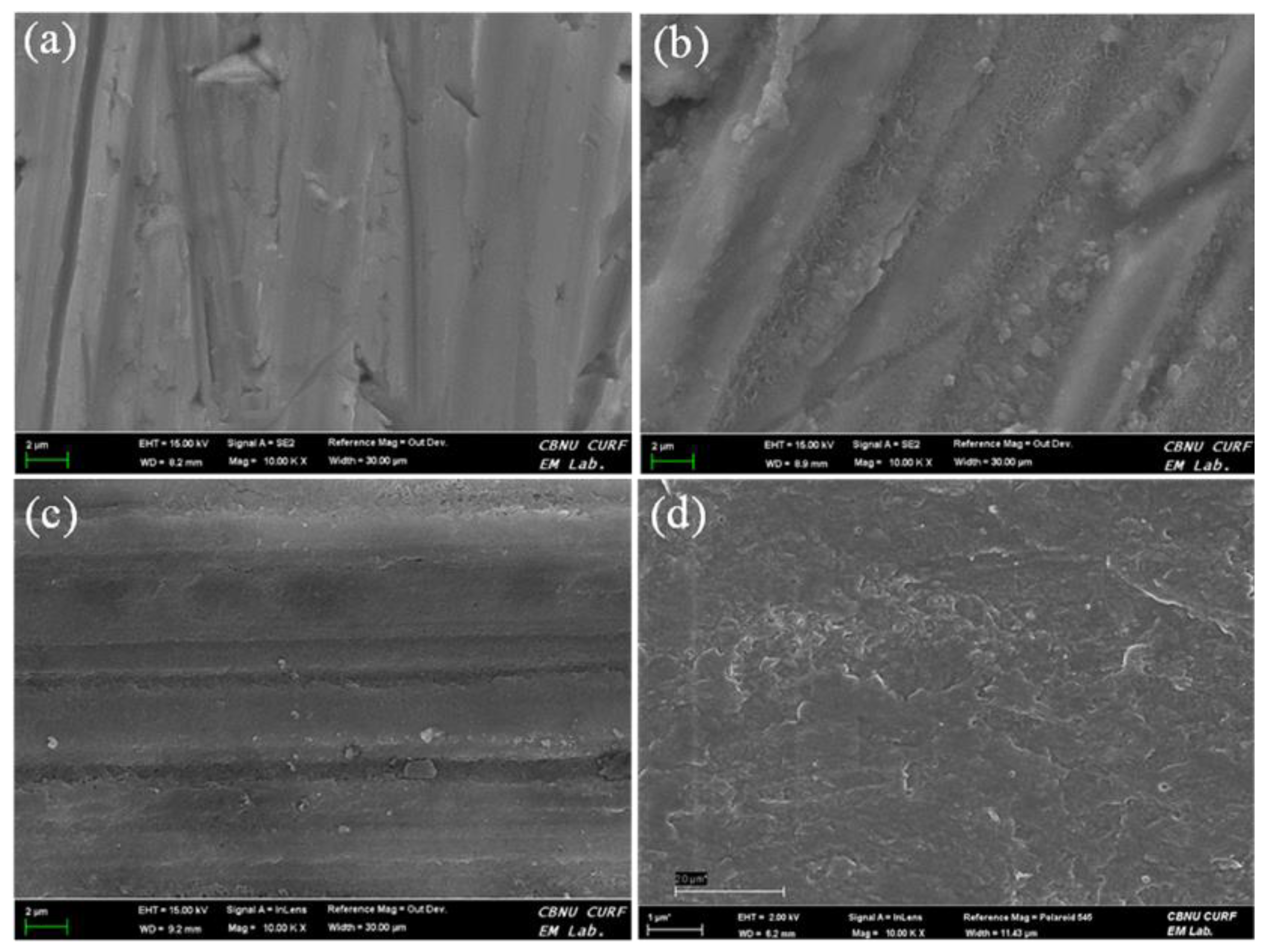 Polymers 12 00439 g001 Polymers 12 00439 g001