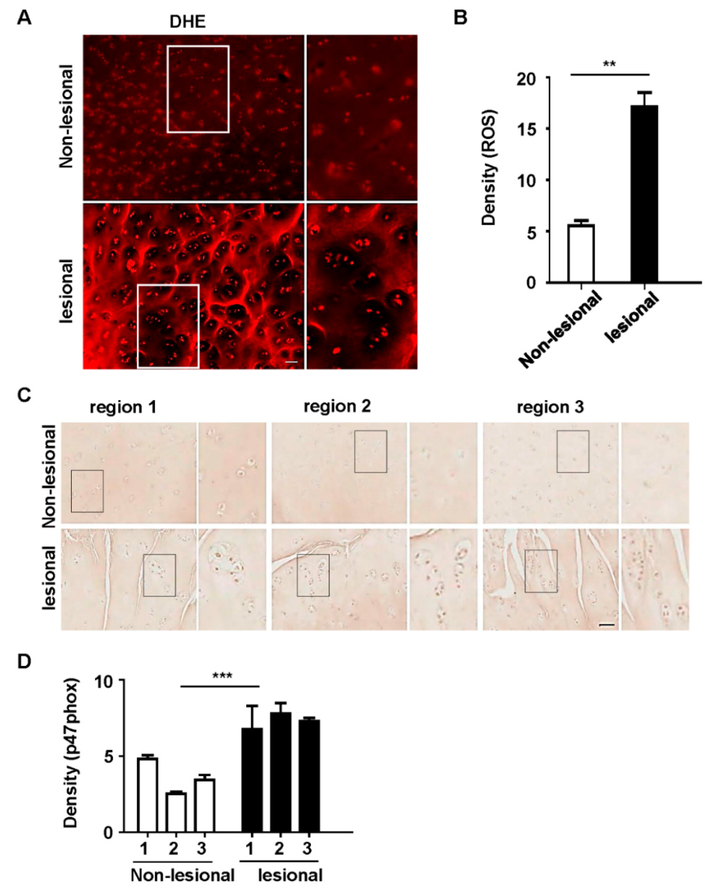 Polymers 12 00443 g001
