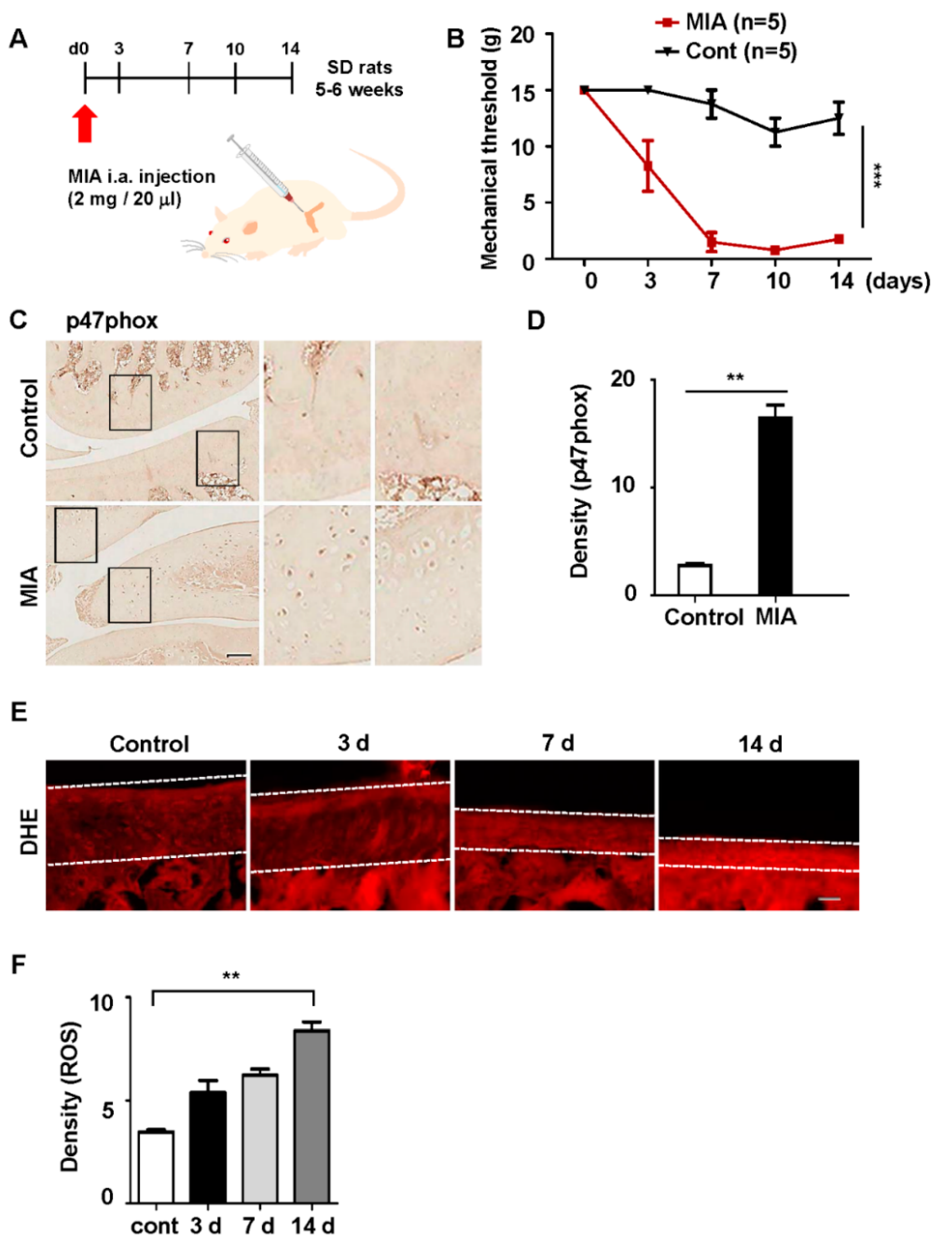 Polymers 12 00443 g002