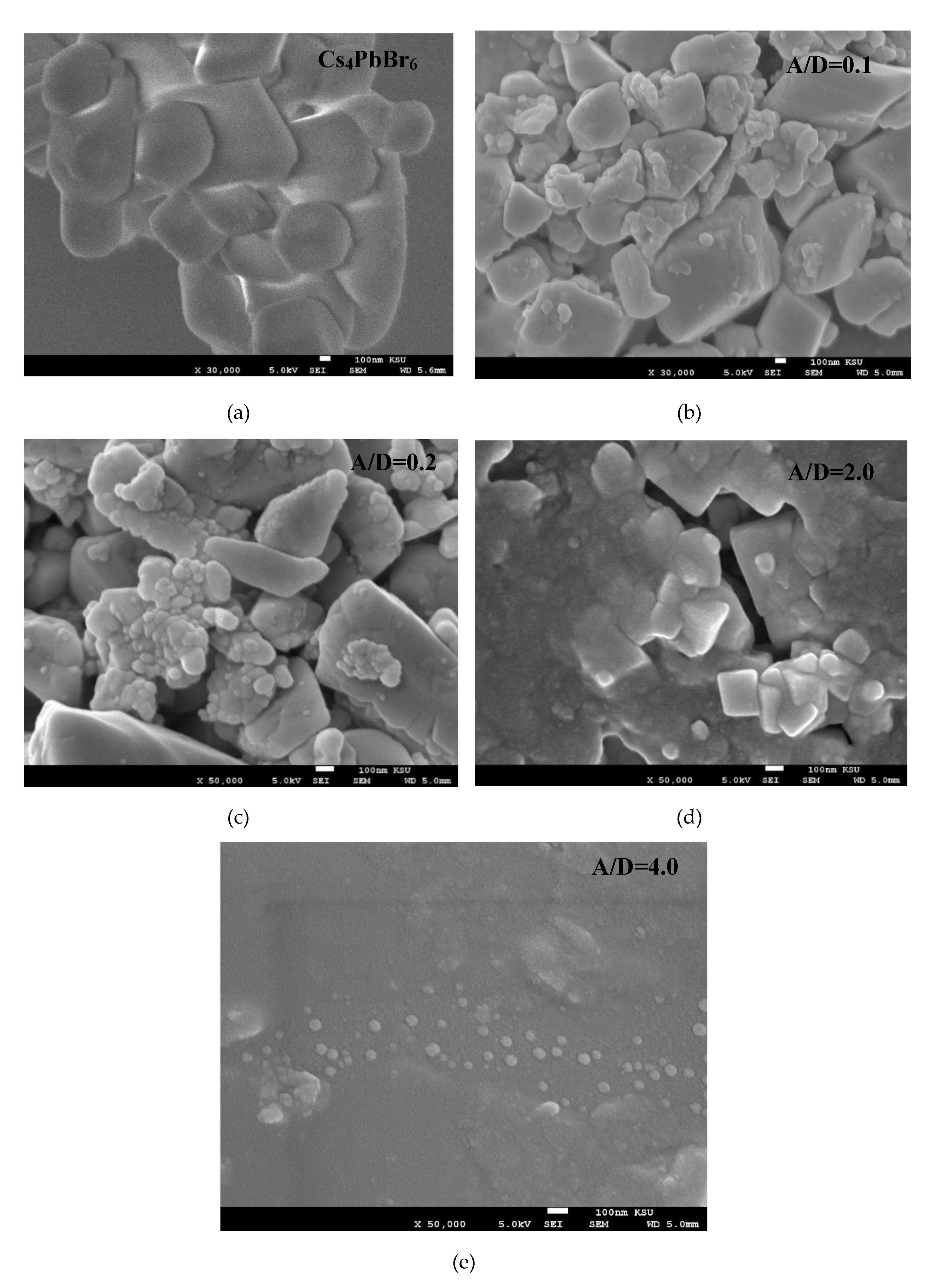 Polymers 12 00444 g002
