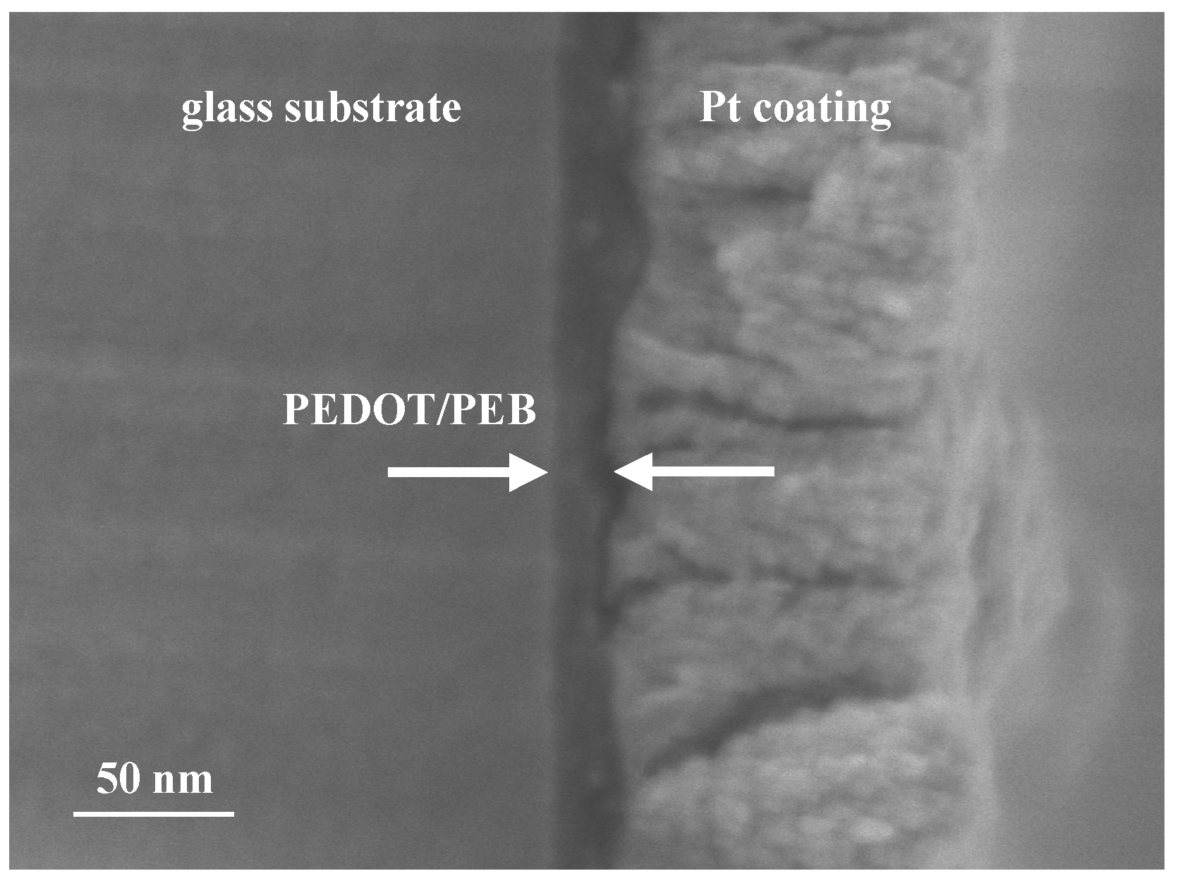 Polymers 12 00456 g002 Polymers 12 00456 g002