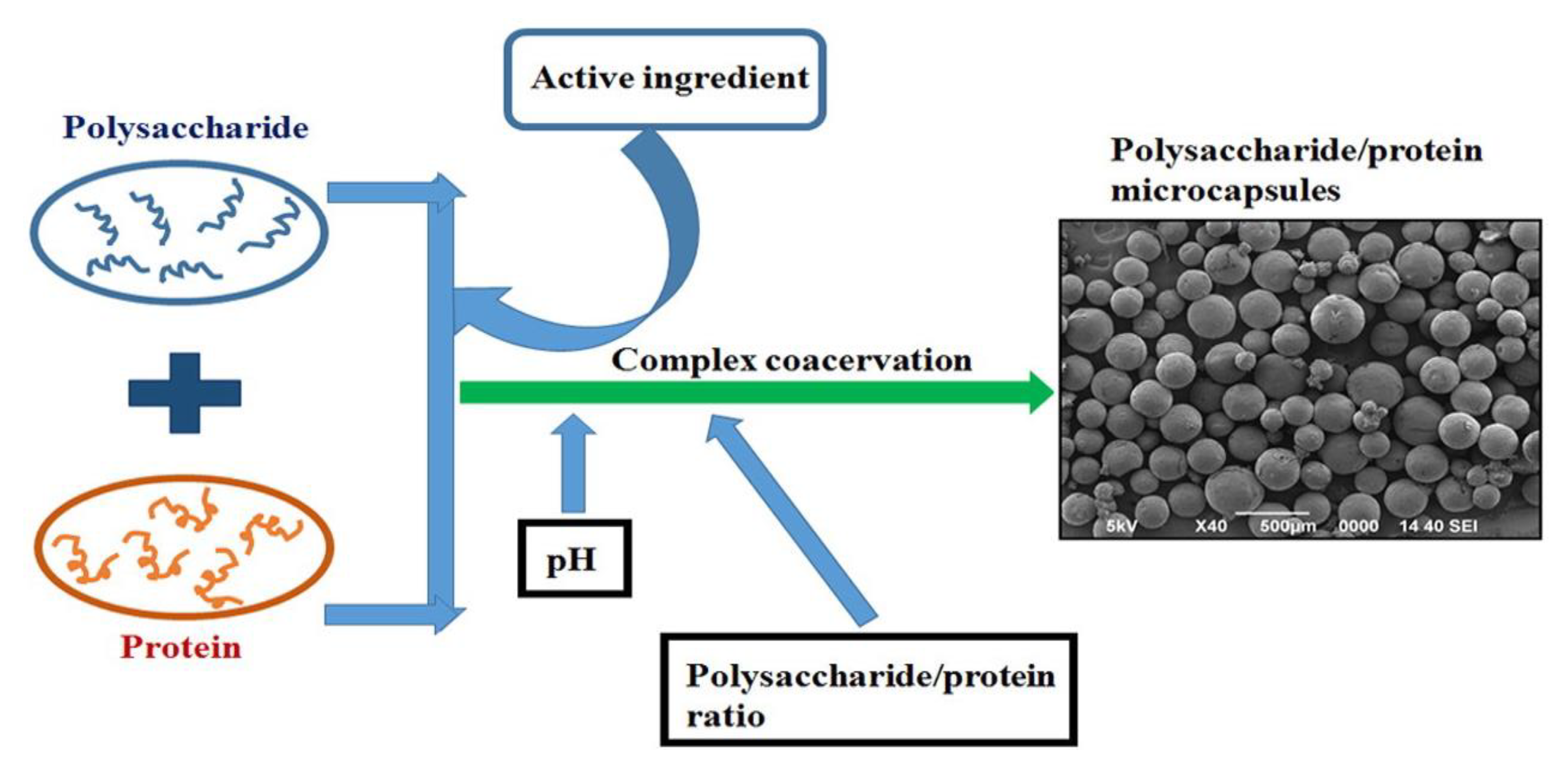 Polymers 12 00464 g002 Polymers 12 00464 g002