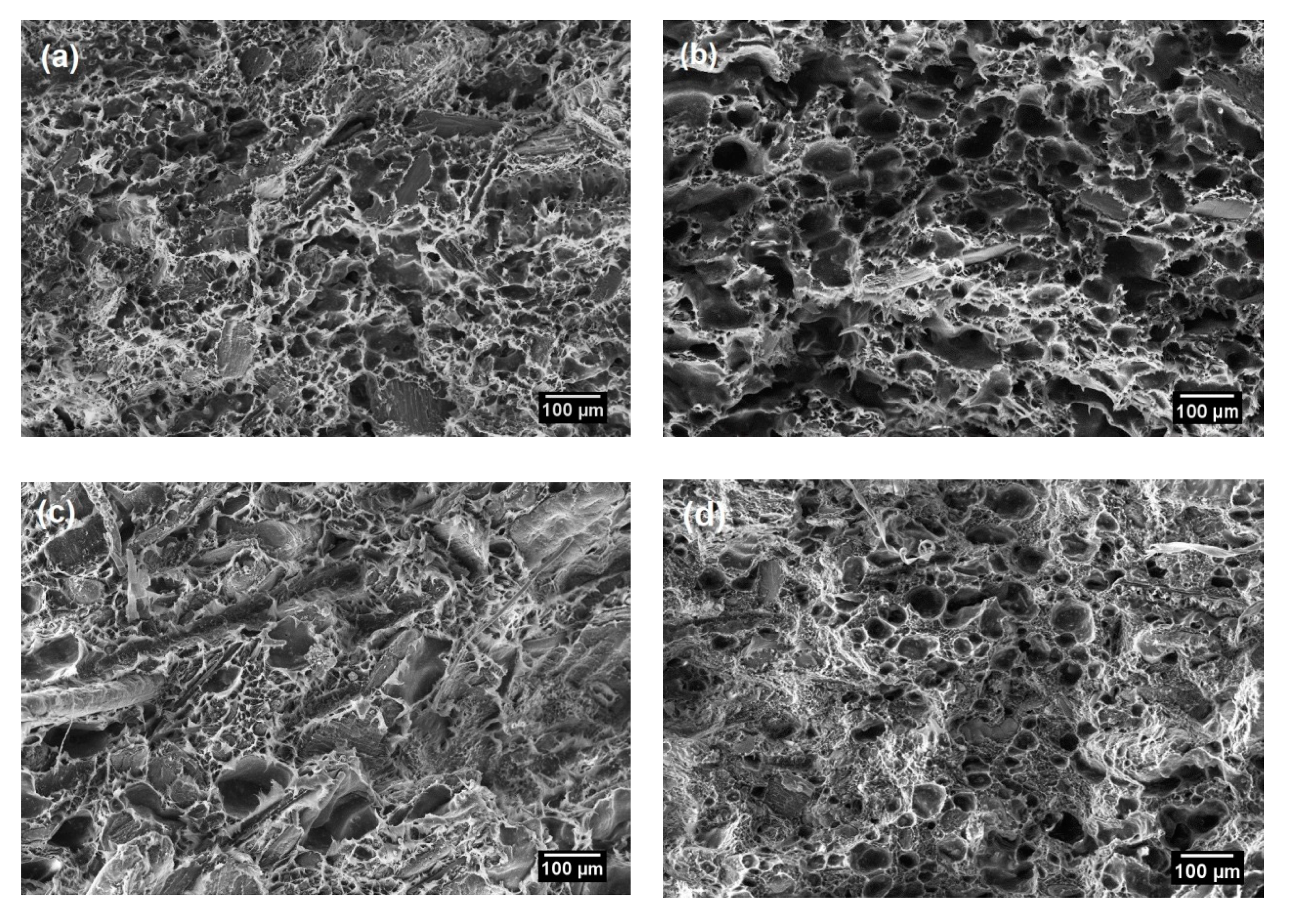 Polymers 12 00475 g006