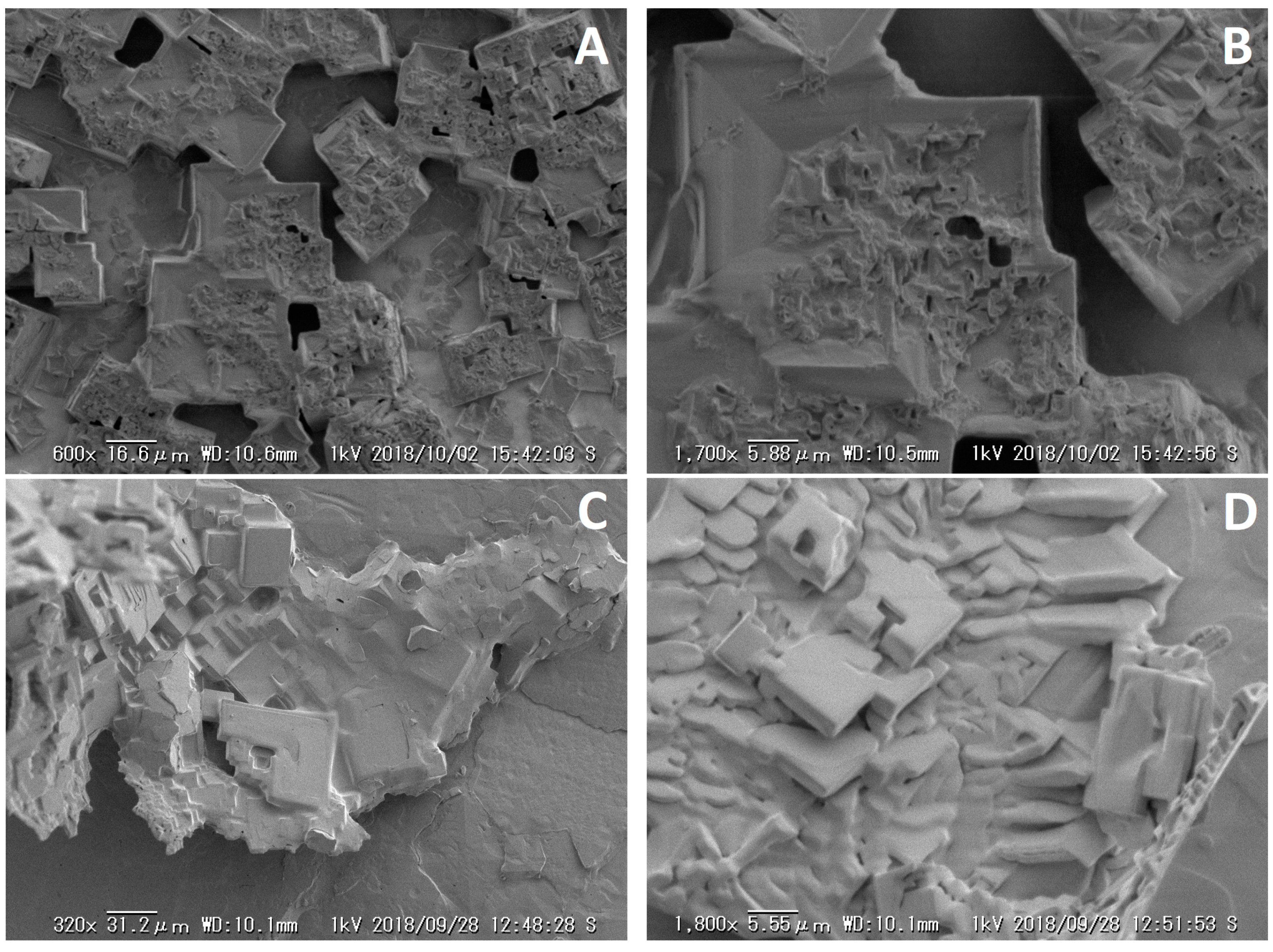 Polymers 12 00486 g005