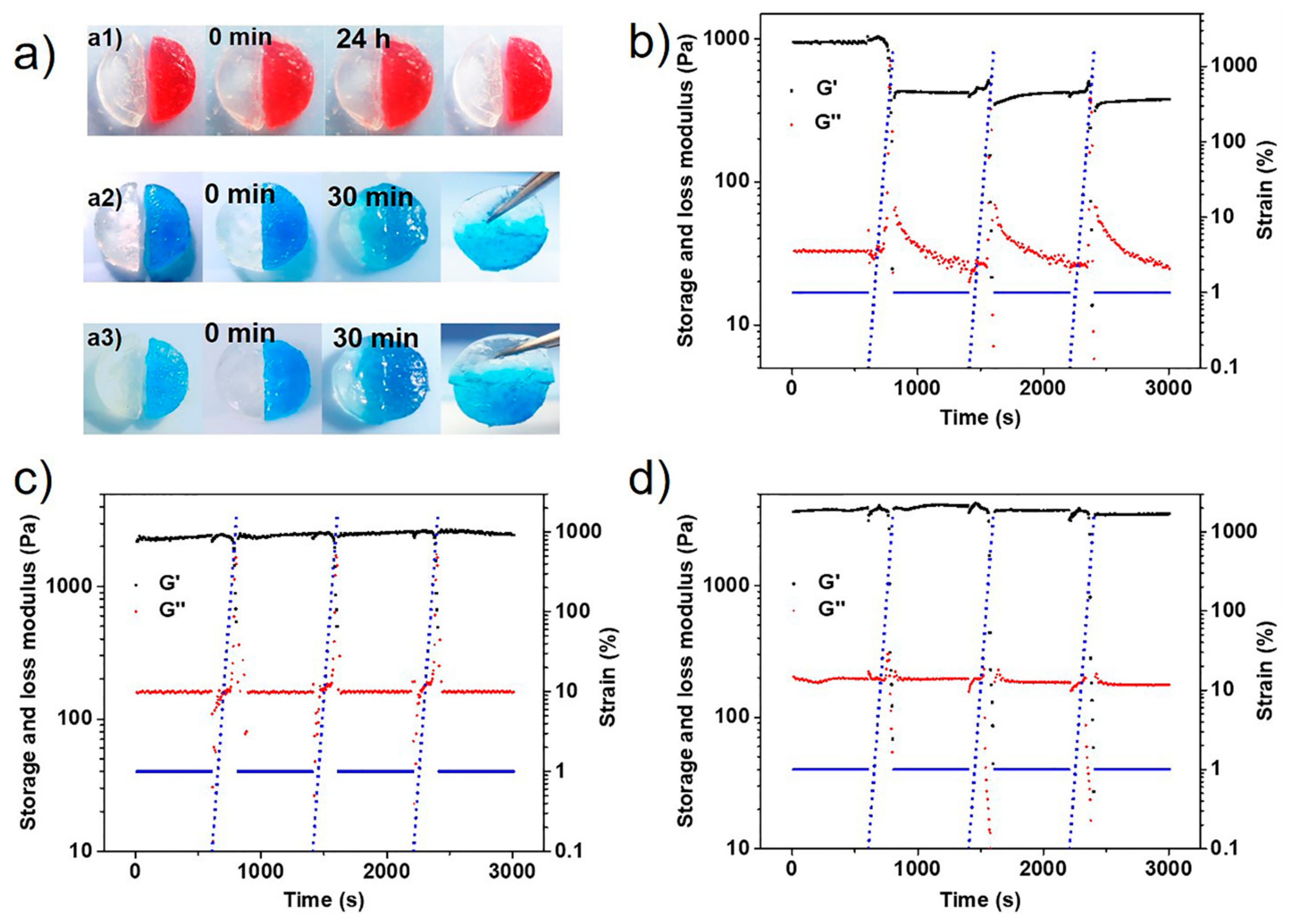 Polymers 12 00487 g005