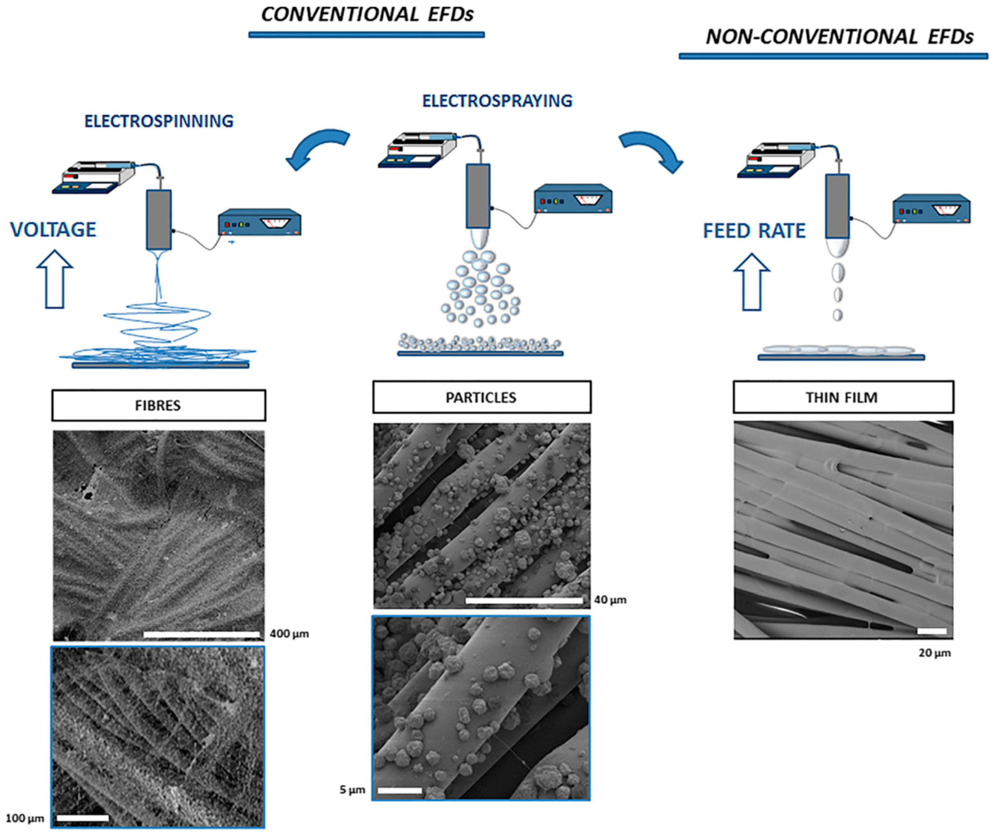 Polymers 12 00492 g004
