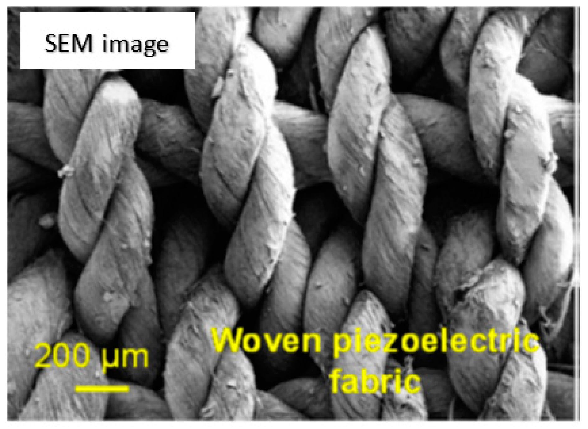 Polymers 12 00492 g005