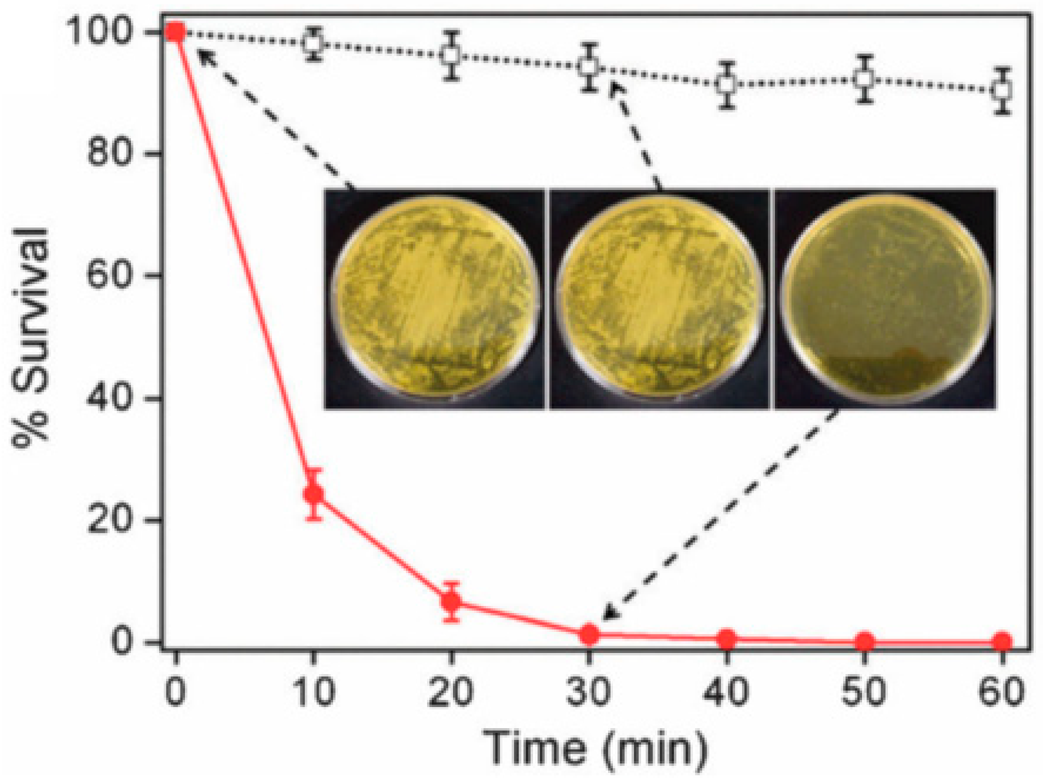 Polymers 12 00492 g008