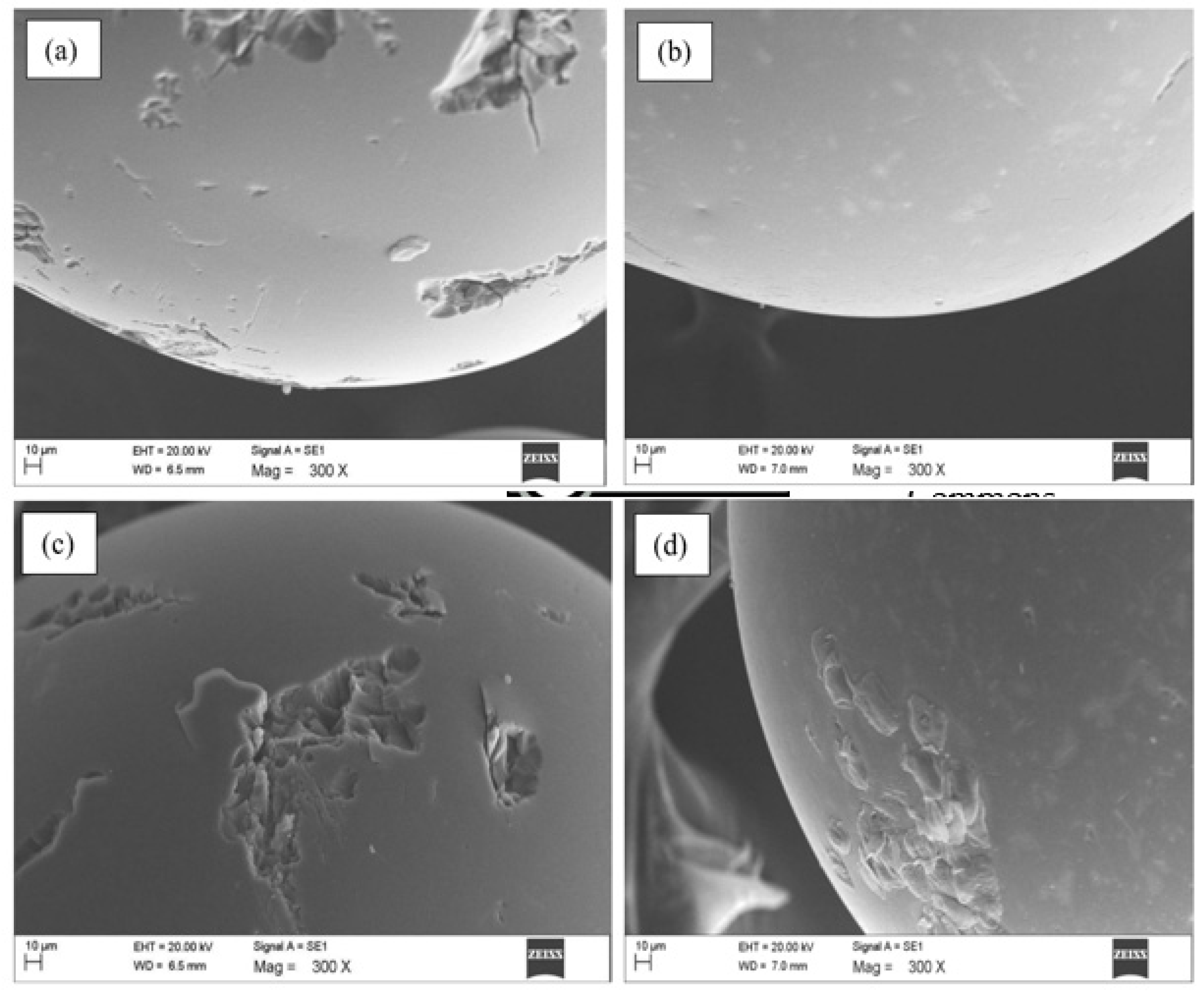 Polymers 12 00500 g001a Polymers 12 00500 g001a