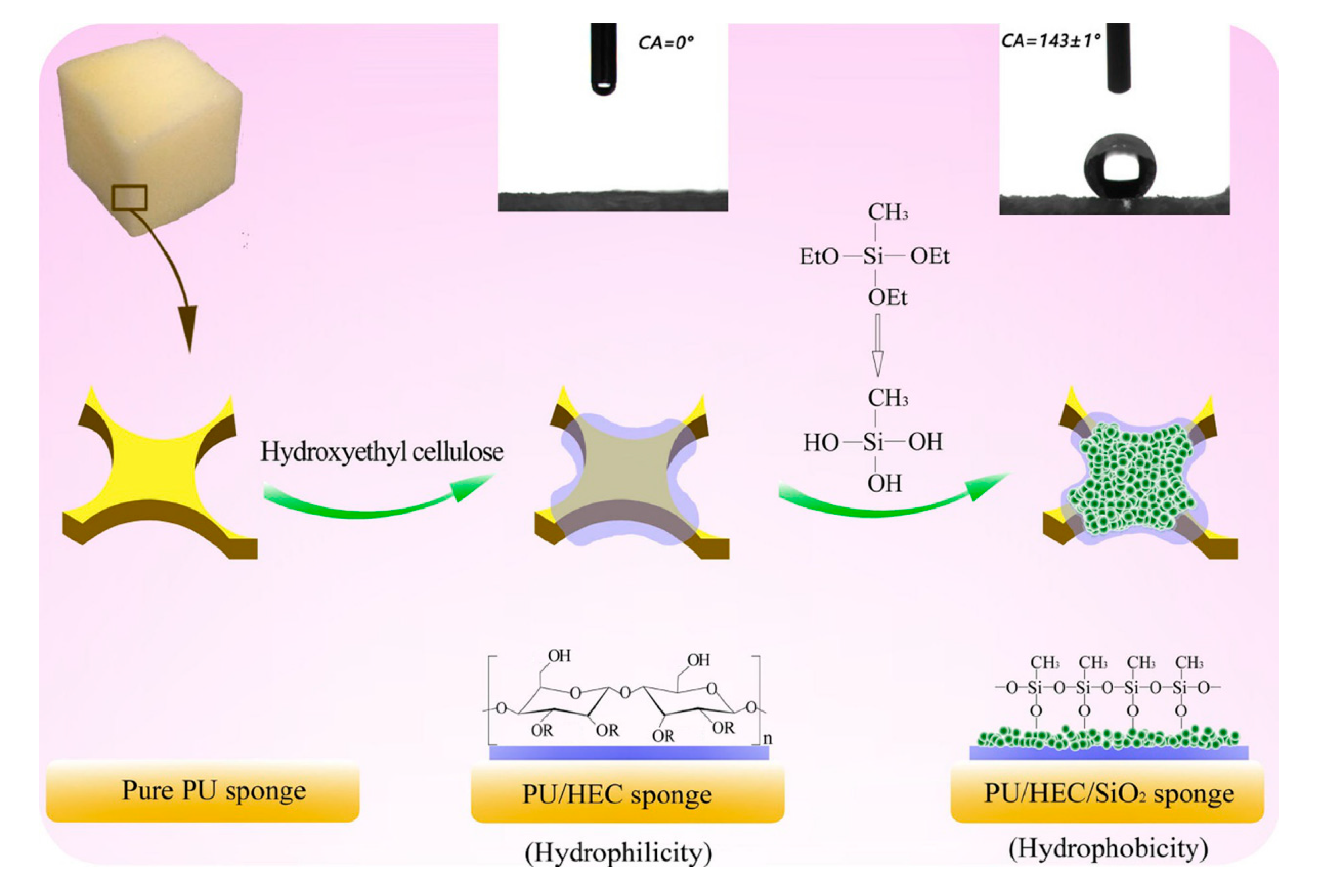 Polymers 12 00509 g001