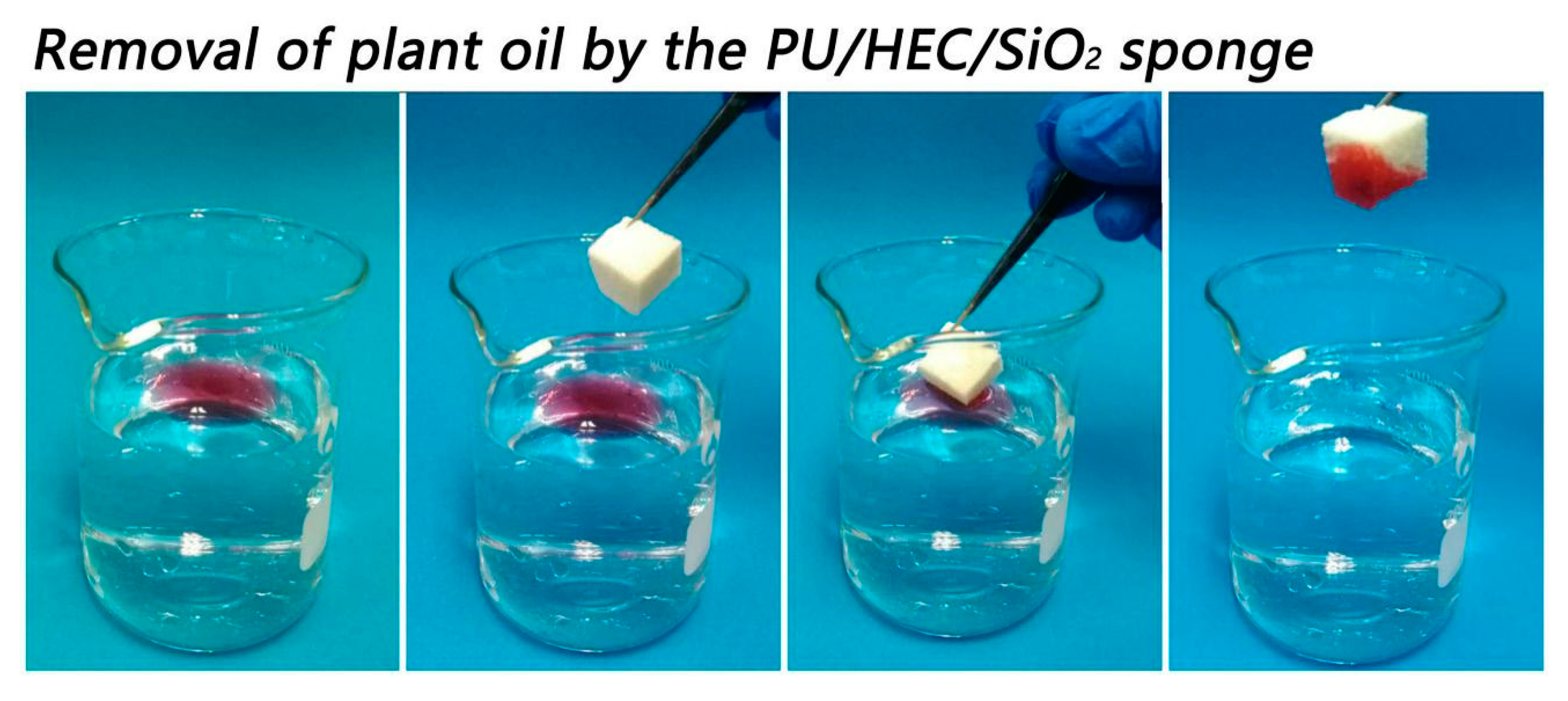 Polymers 12 00509 g005