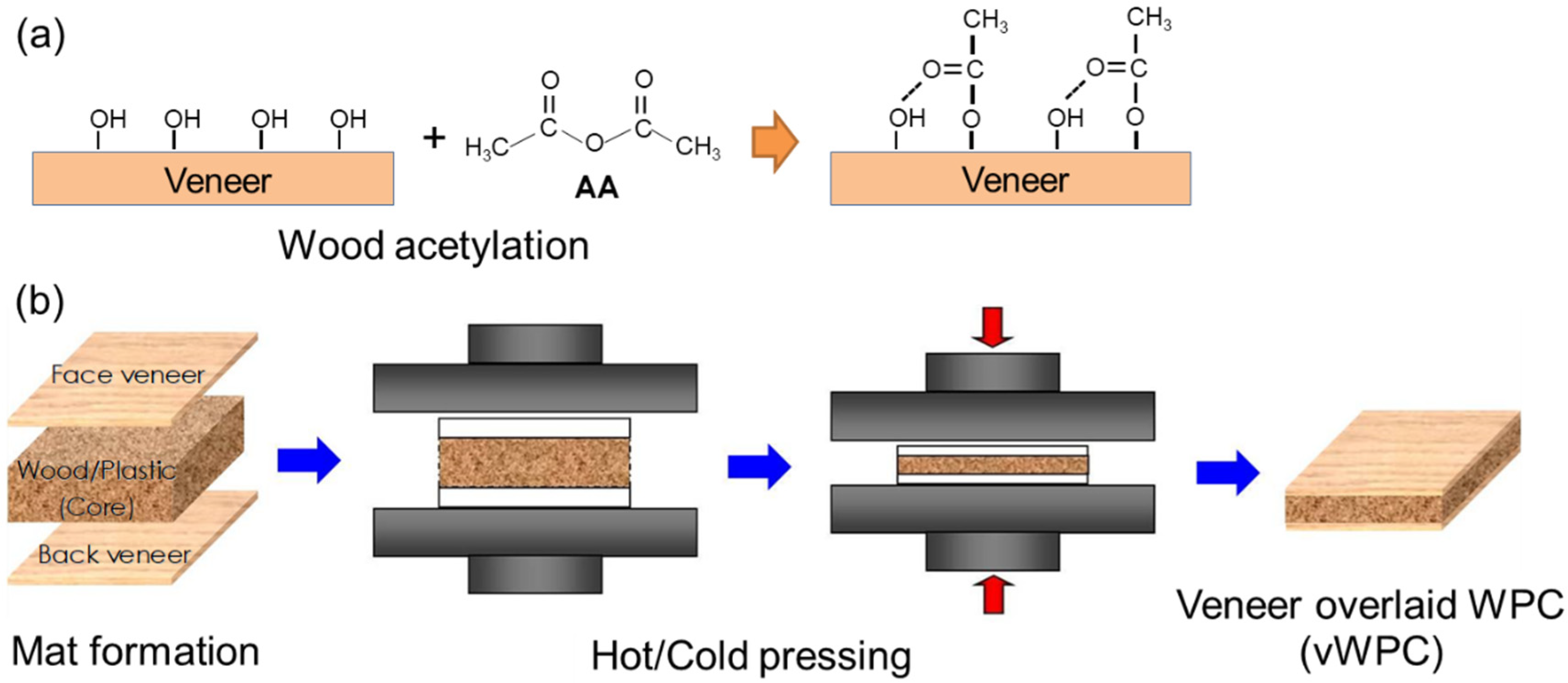 Polymers 12 00513 g001