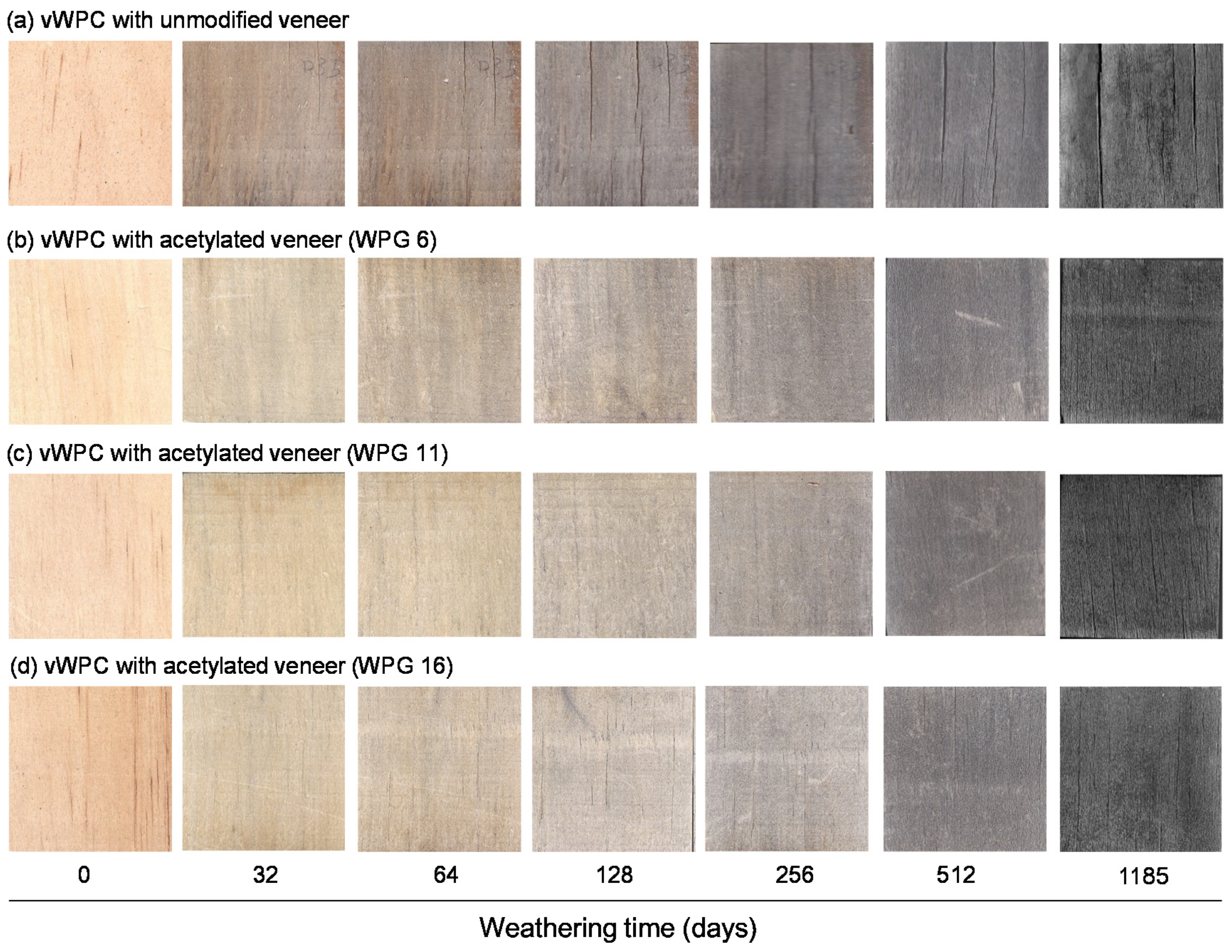 Polymers 12 00513 g002