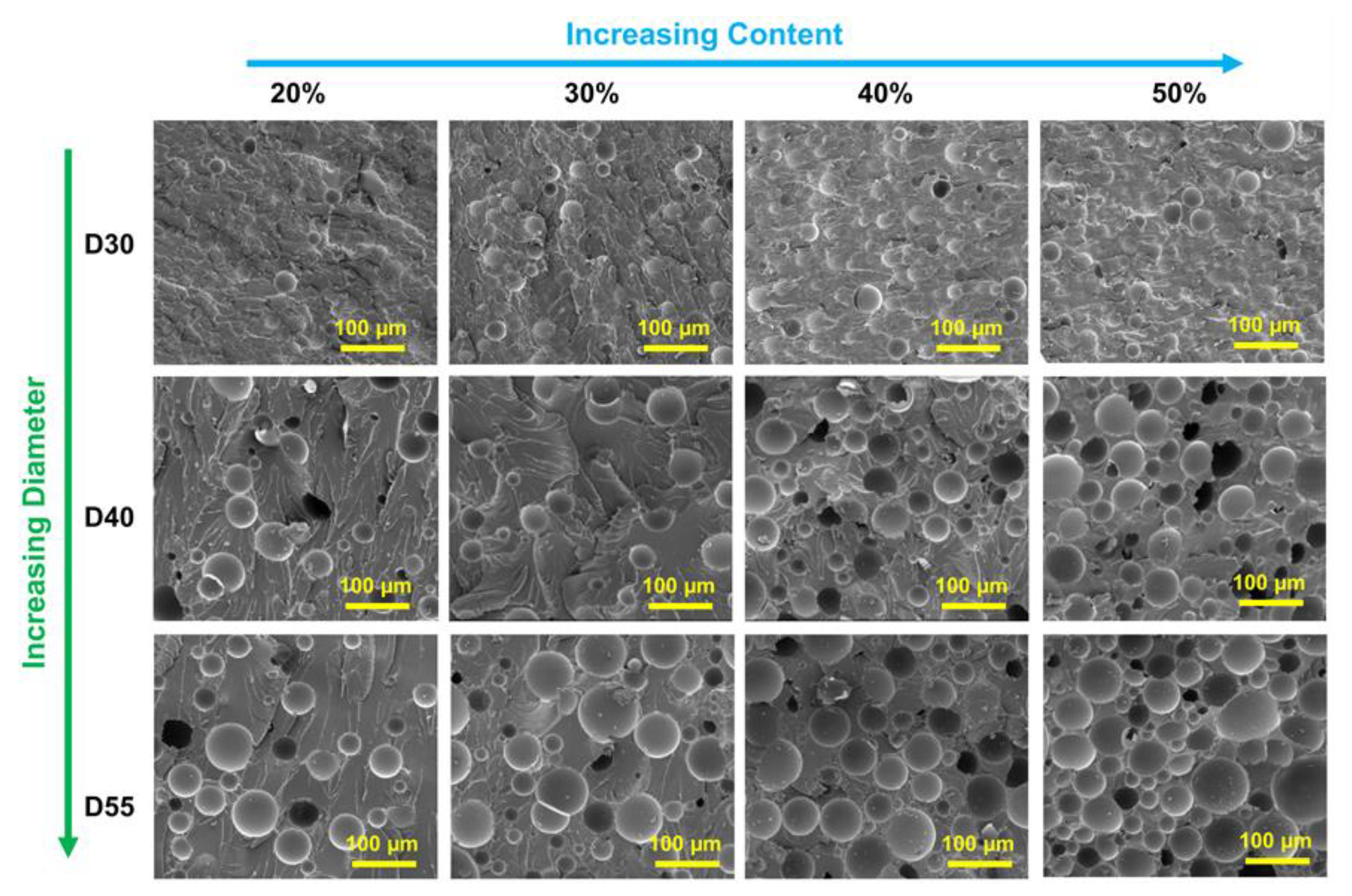 Polymers 12 00518 g001