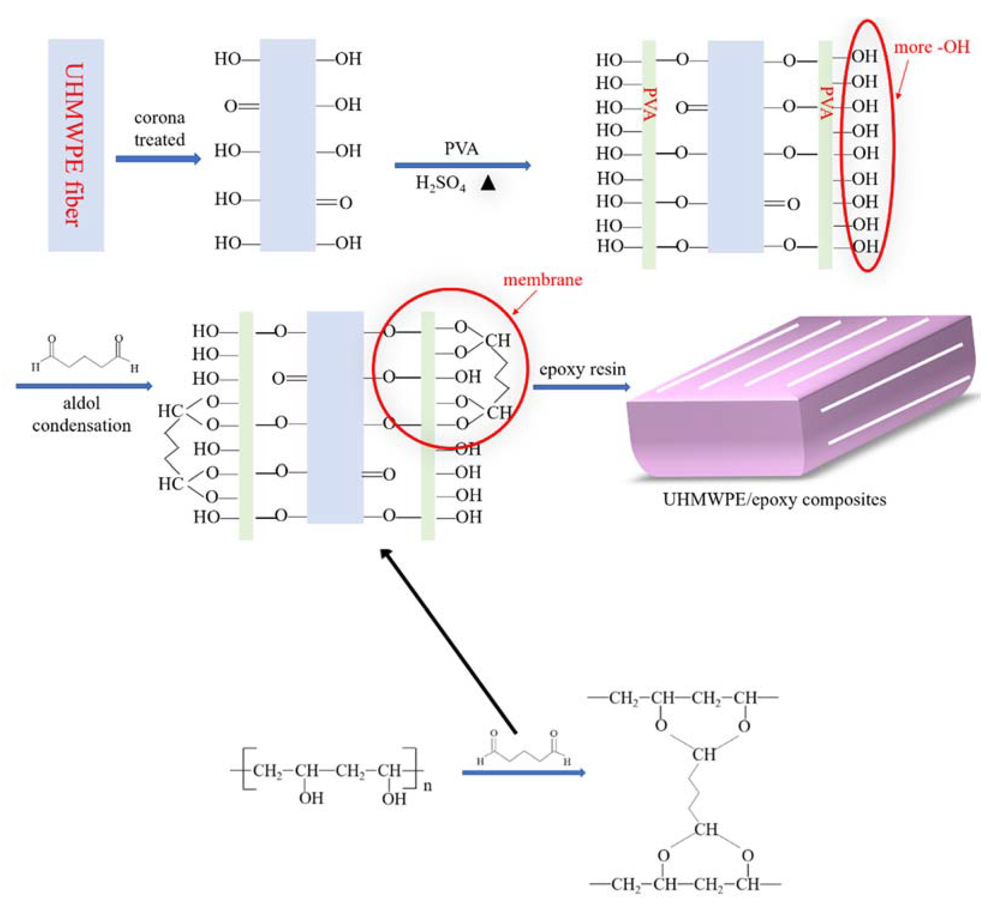 Polymers 12 00521 g003