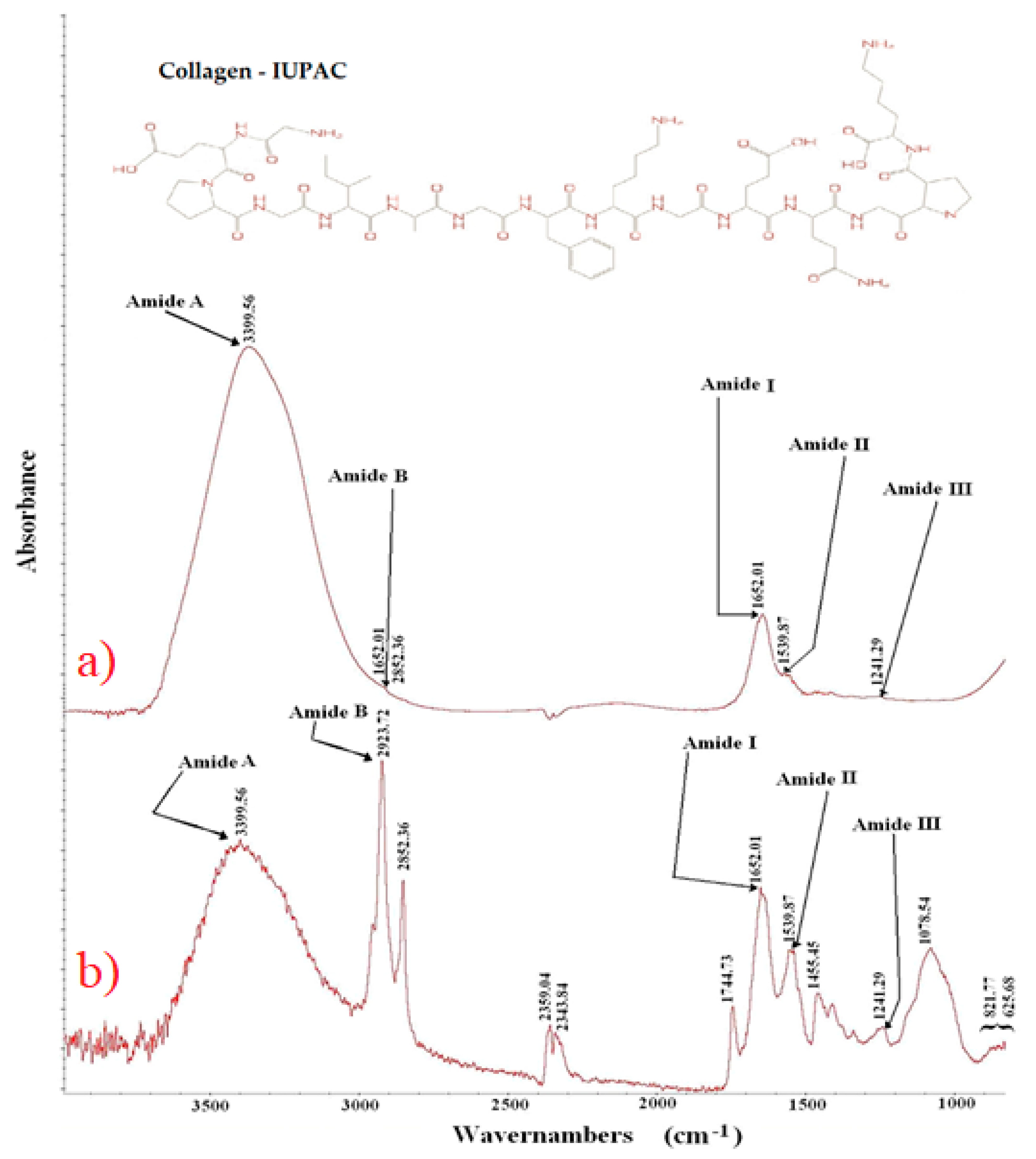 Polymers 12 00529 g005