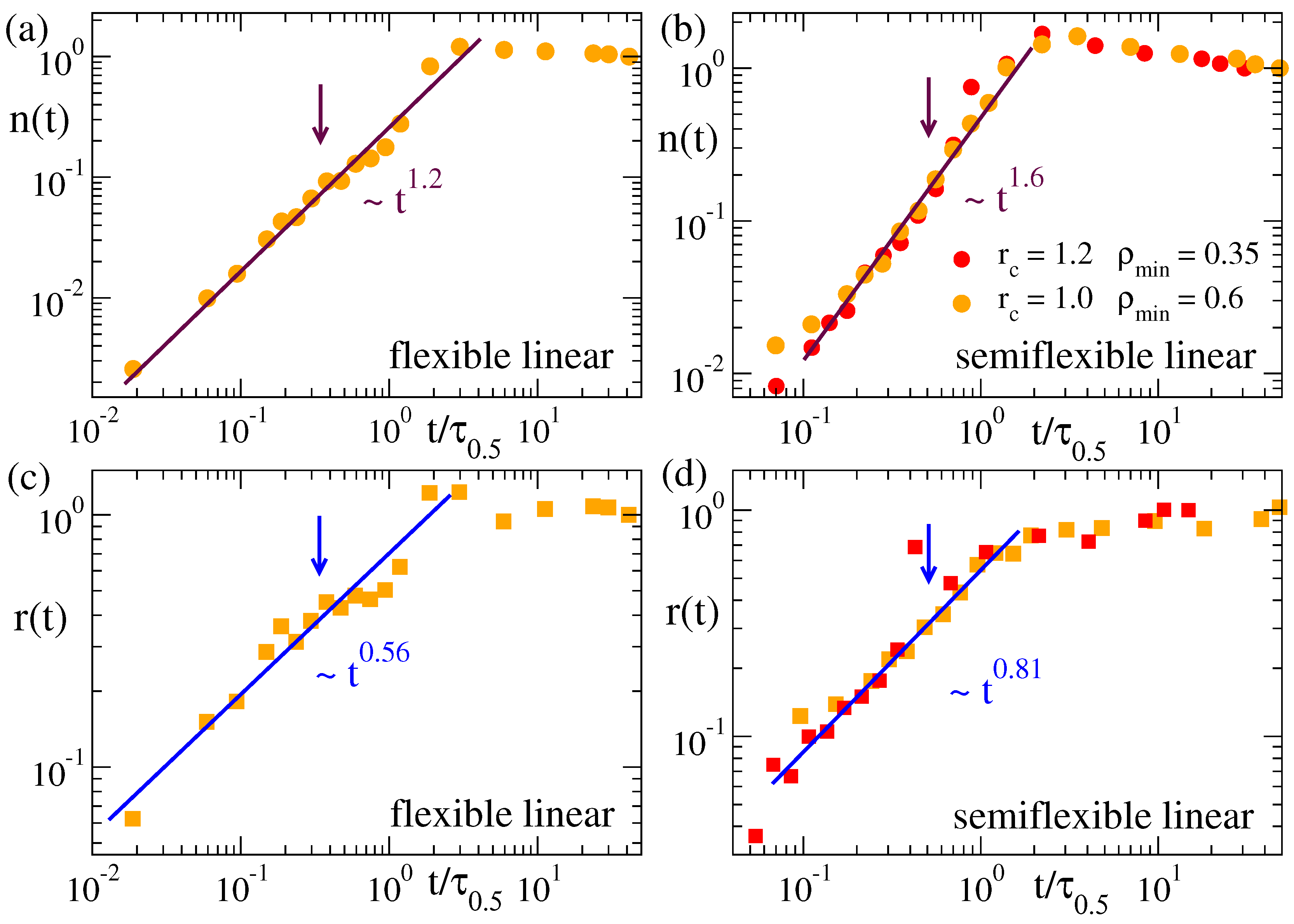 Polymers 12 00531 g007