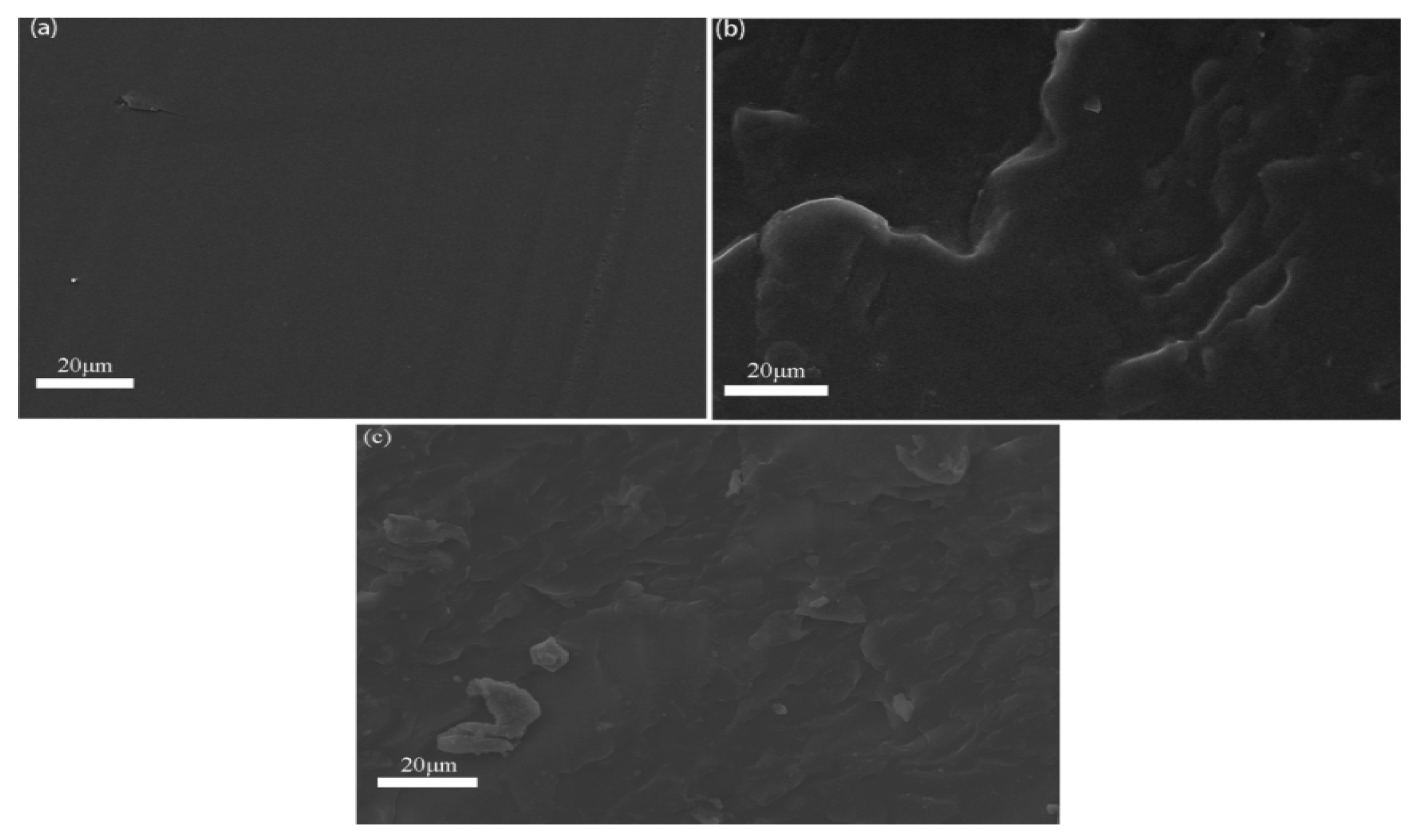 Polymers 12 00543 g005
