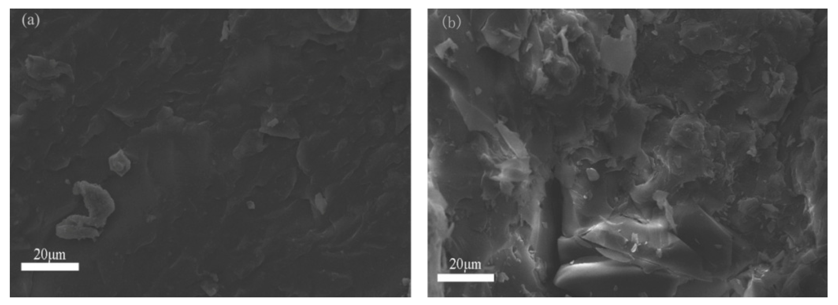 Polymers 12 00543 g007