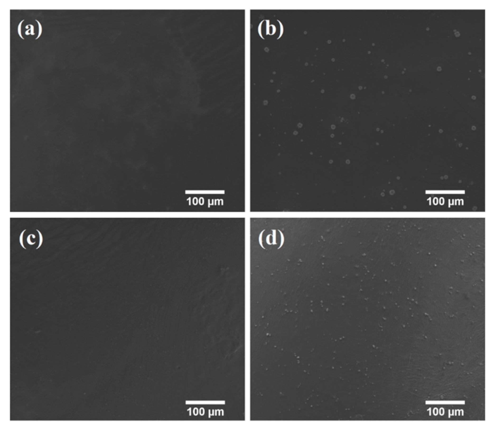 Polymers 12 00548 g004
