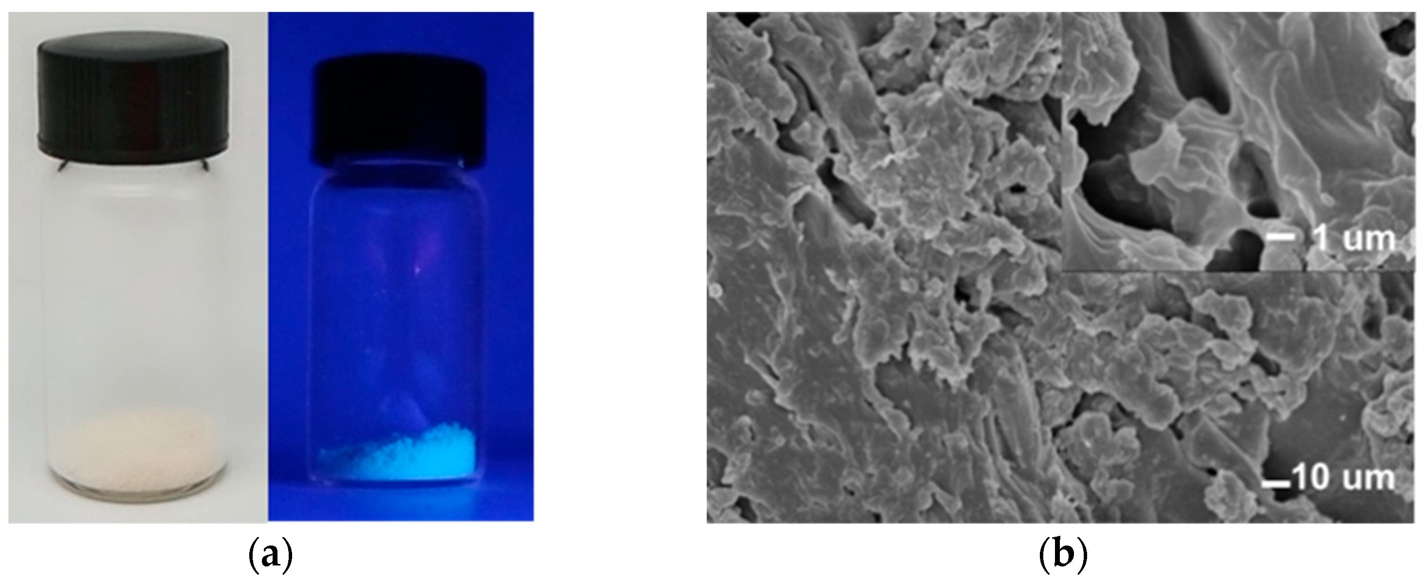 Polymers 12 00551 g001